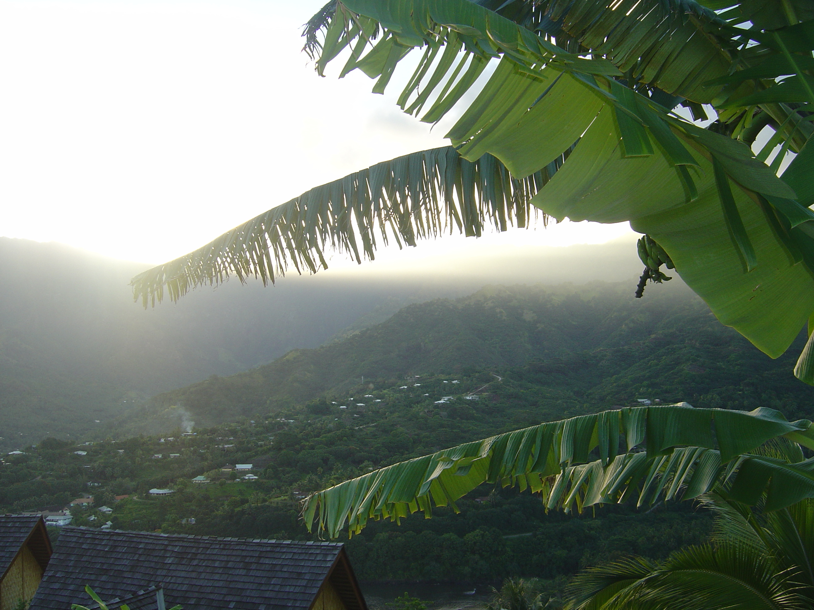 รูปถ่าย เฟรนช์โพลี่นีเซีย(Polynesia) หมู่เกาะมาร์เคซัส(Marquises) 2006-04 23
