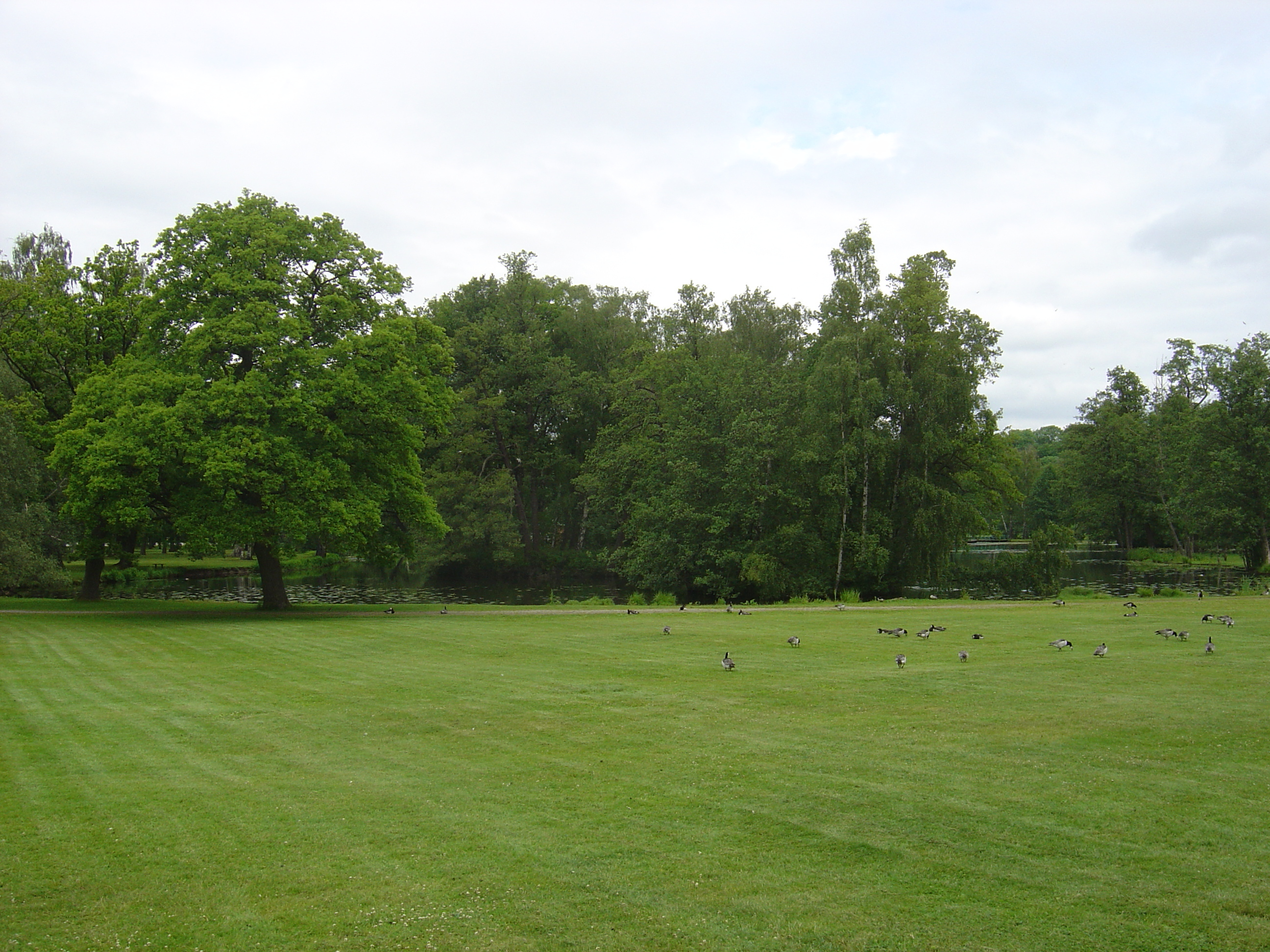 รูปถ่าย สวีเดน(Sweden) ดร็ทท์นิงโฮล์ม(Drottningholm) 2005-06 15