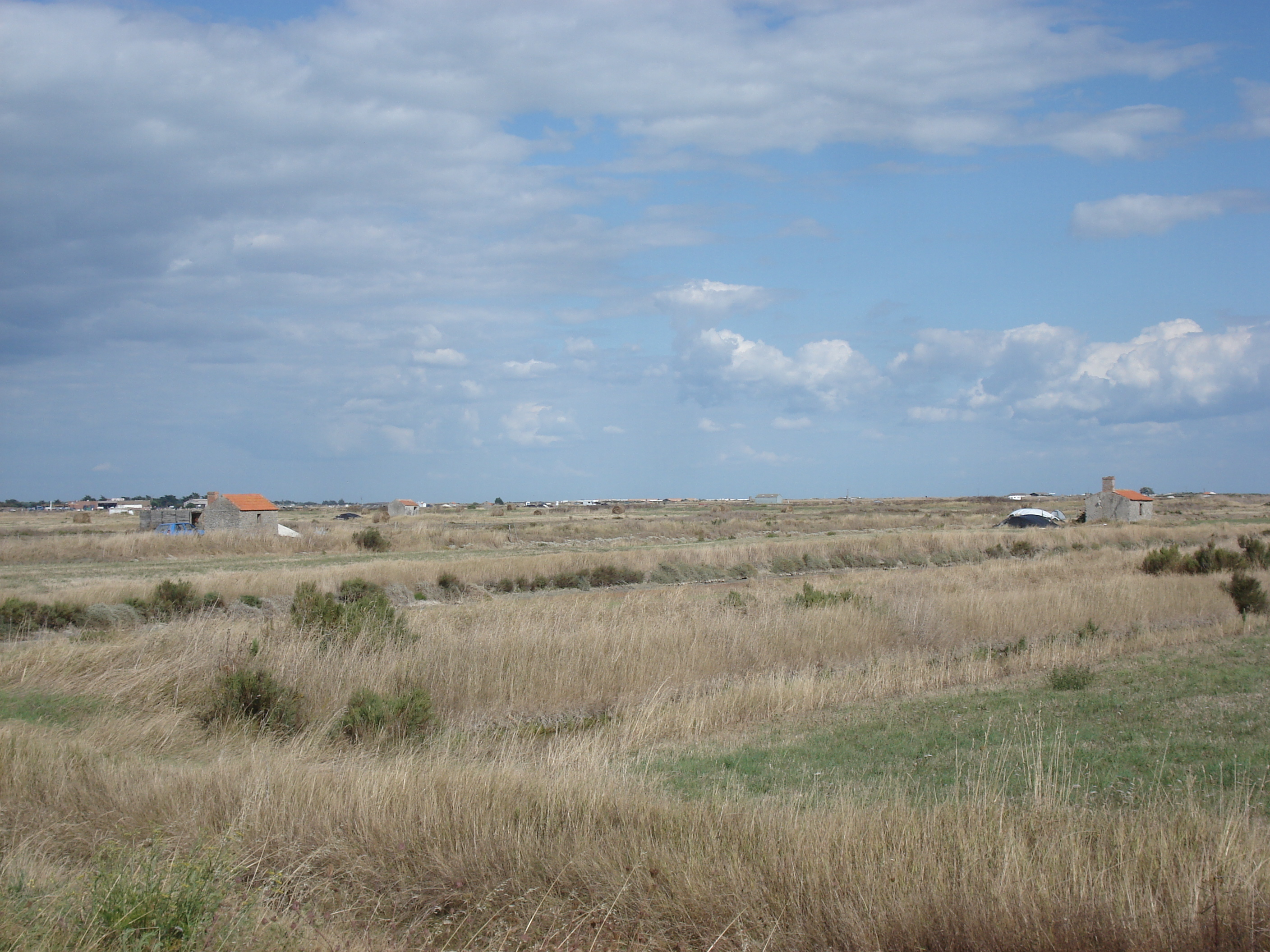 รูปถ่าย ฝรั่งเศส(France) นีวร์มูทีเย(Noirmoutier) 2006-08 12