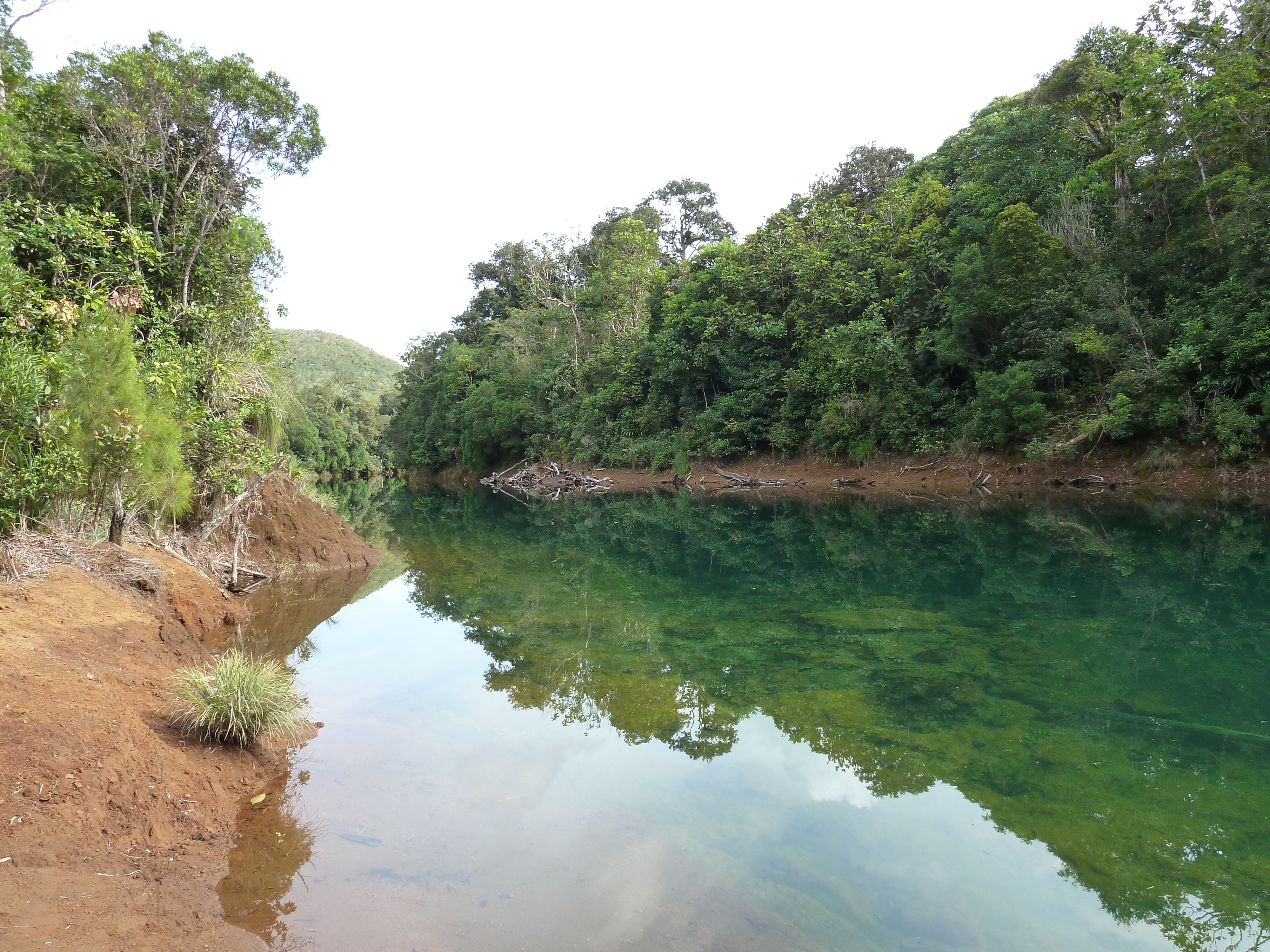 รูปถ่าย นิวแคลิโดเนีย(New Caledonia) อุทยานริเวียร์เบลอ(Parc de la Riviere Bleue) 2010-05 163