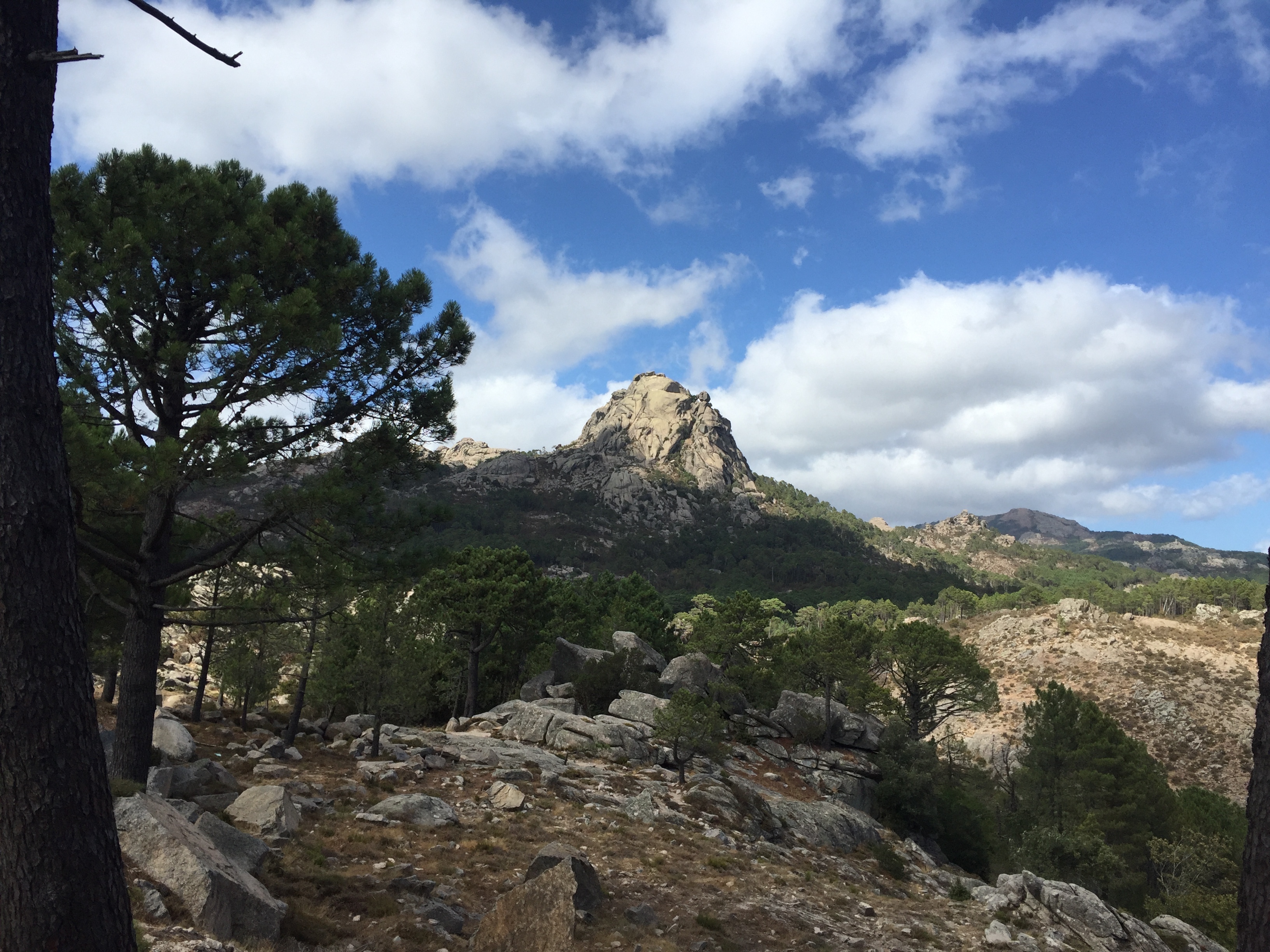 รูปถ่าย ฝรั่งเศส(France) คอร์สิคา(Corsica) ป่าลอสเปดาเล(L'ospedale Forest) 2017-09 6