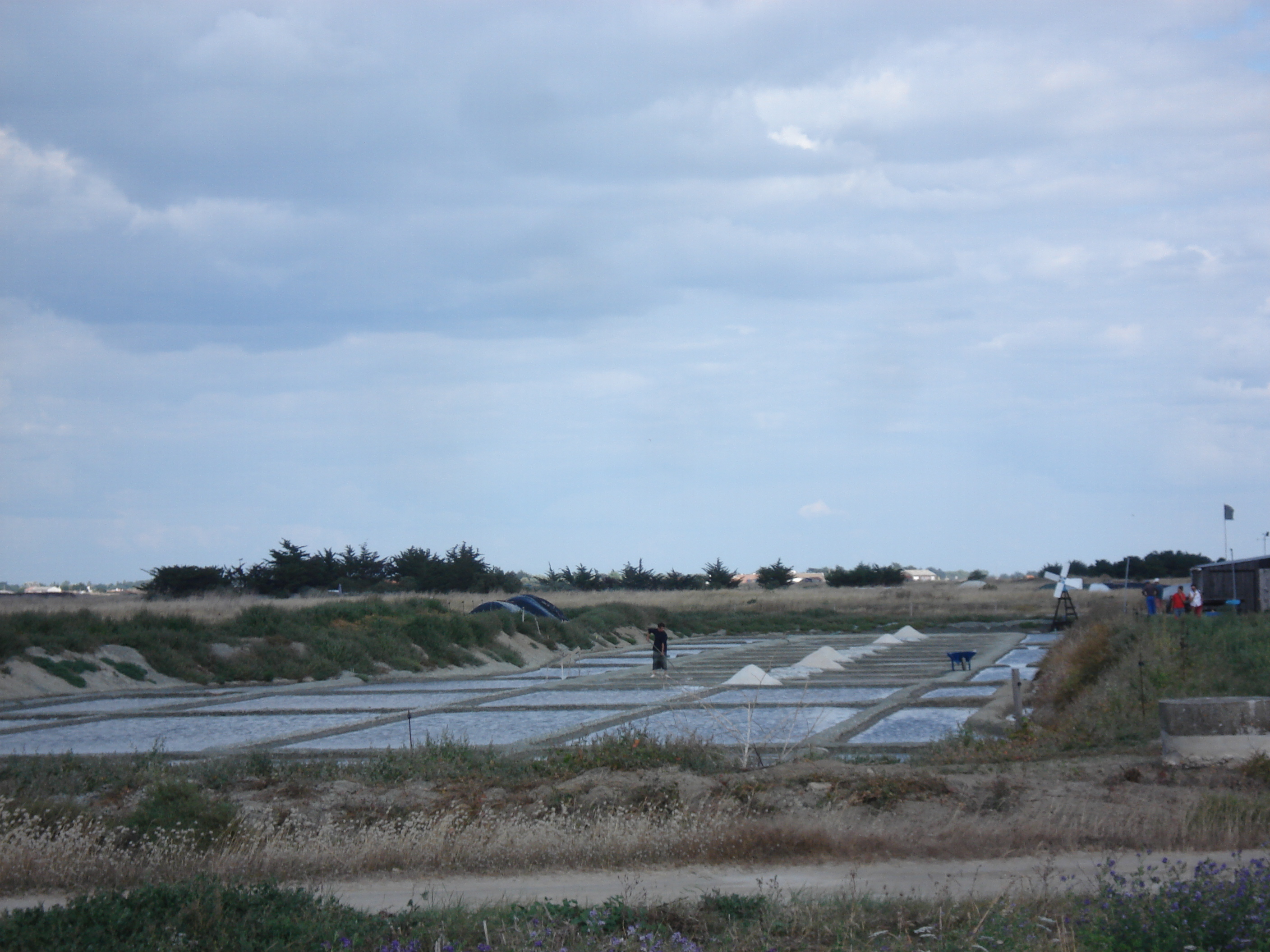 รูปถ่าย ฝรั่งเศส(France) นีวร์มูทีเย(Noirmoutier) 2006-08 114