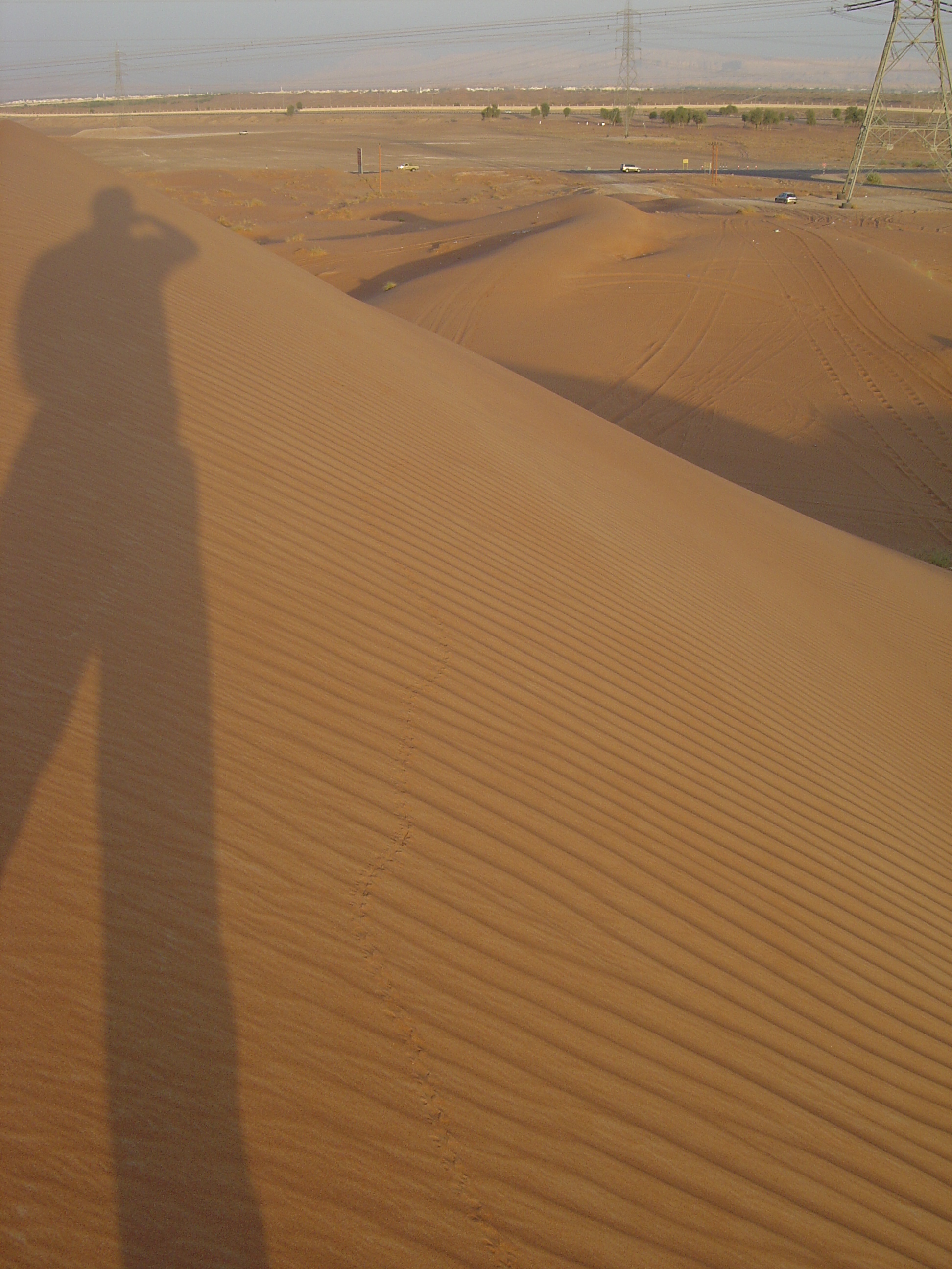รูปถ่าย สหรัฐอาหรับเอมิเรตส์(United Arab Emirates) อาเลอิน(Al Ain) ทะเล(Desert) 2005-11 12