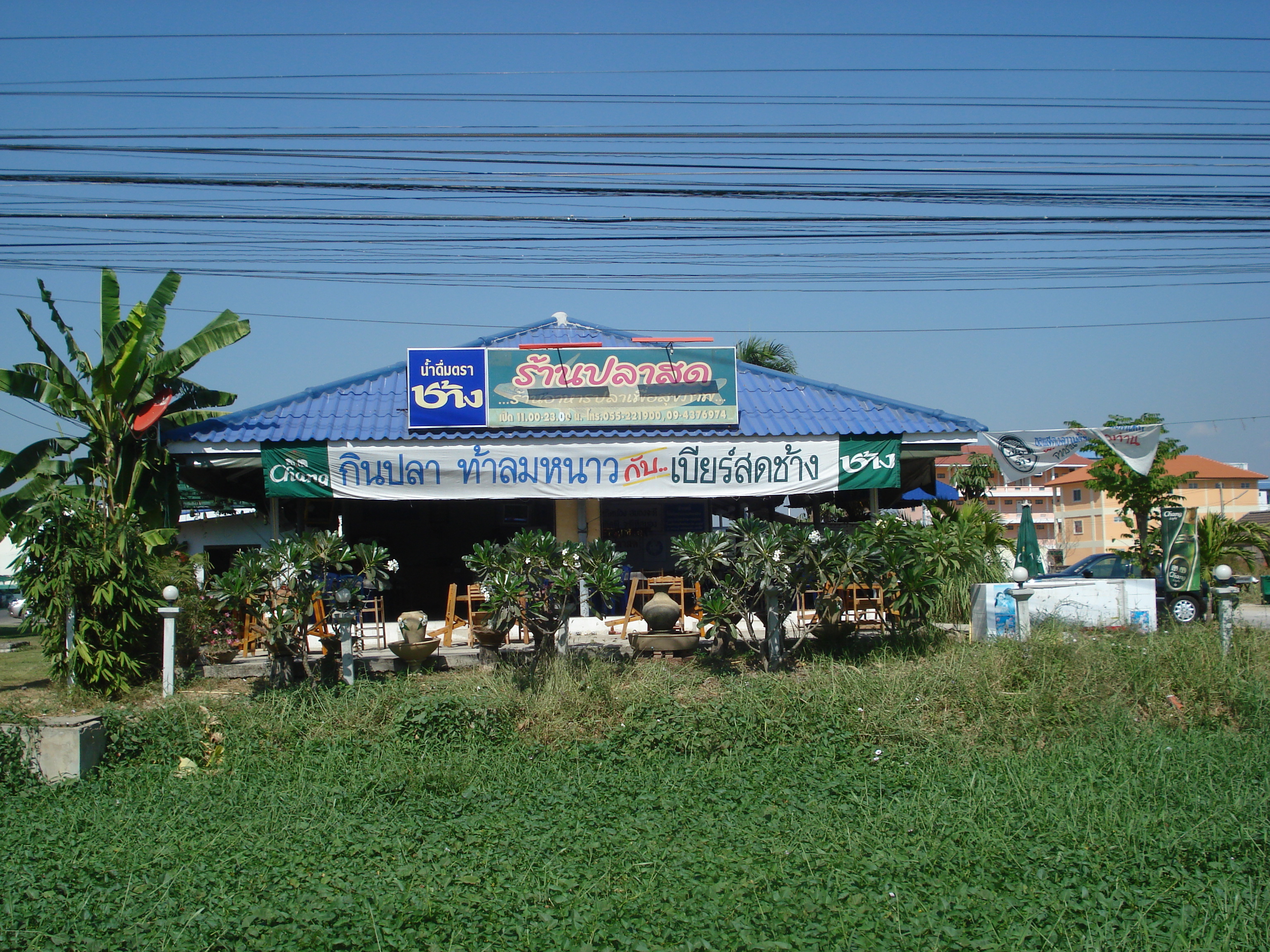 รูปถ่าย ไทย(Thailand) พิษณุโลก(Phitsanulok) ถนนมิตรภาพ(Mittraparp Road) 2008-01 20