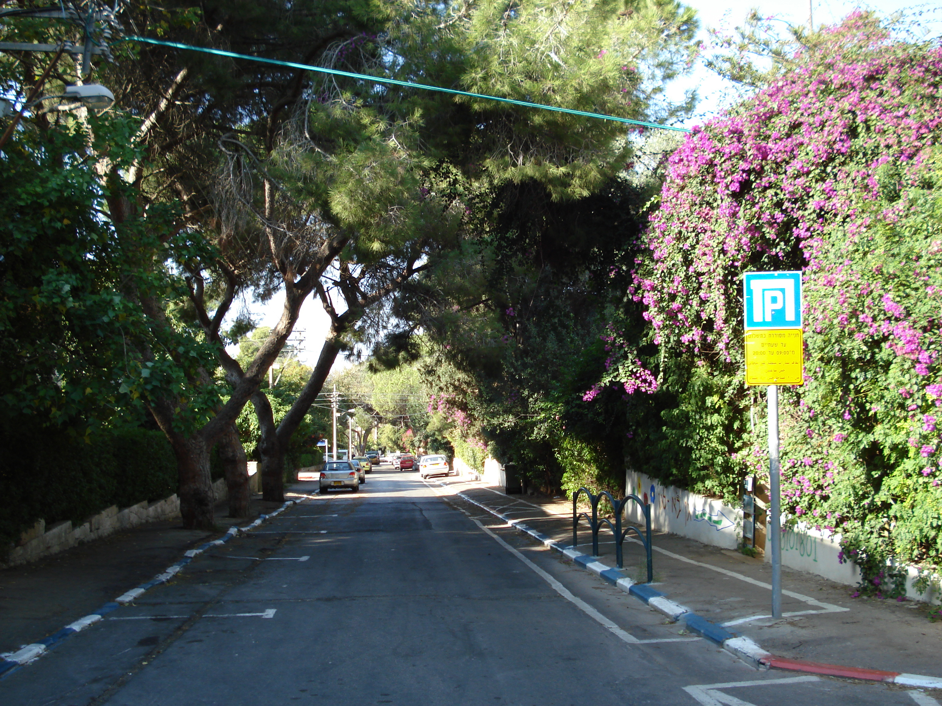 รูปถ่าย อิสราเอล(Israel) ไฮฟา(Haifa) คาร์เมล(Carmel) 2006-12 39