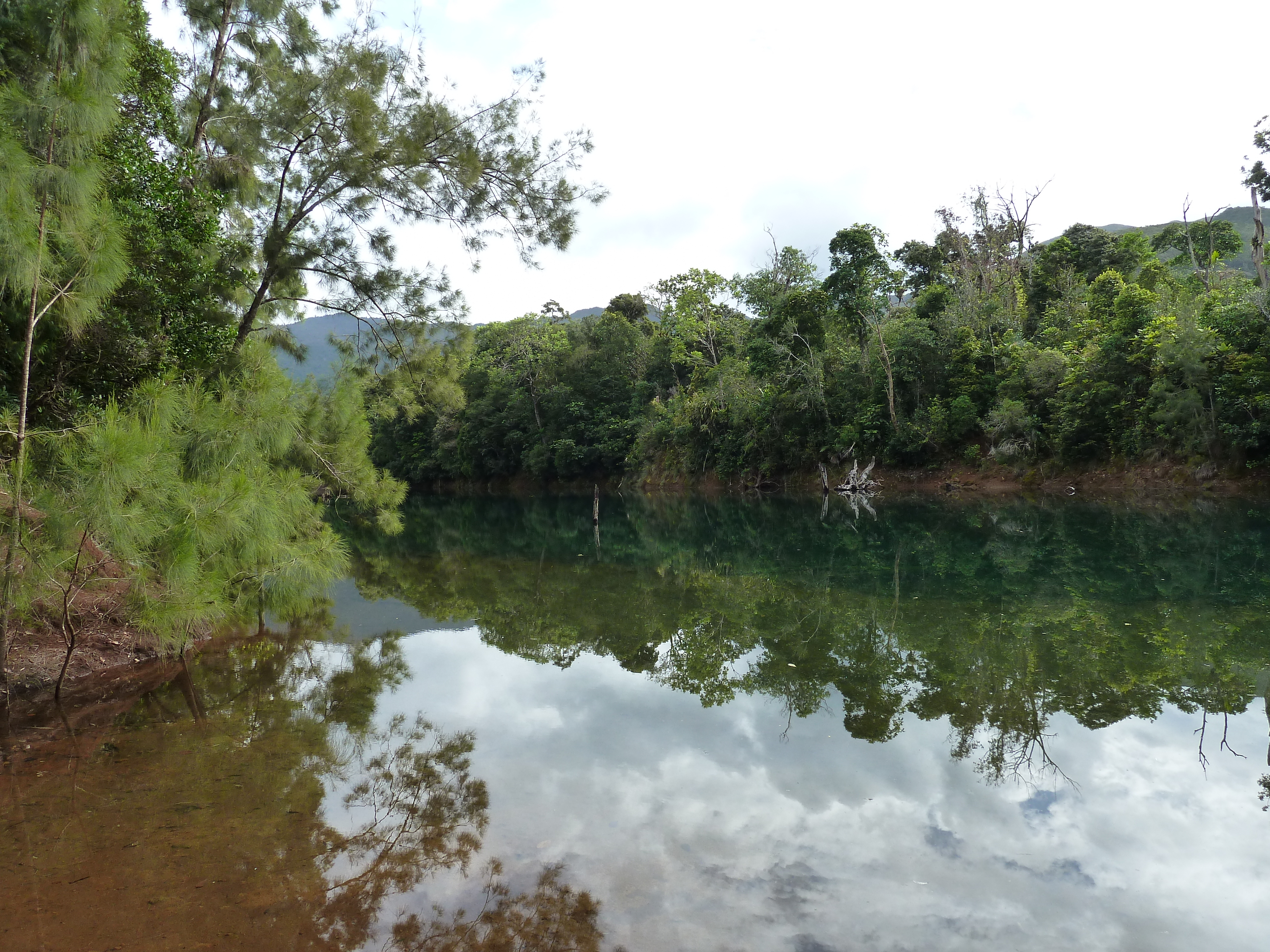 รูปถ่าย นิวแคลิโดเนีย(New Caledonia) อุทยานริเวียร์เบลอ(Parc de la Riviere Bleue) 2010-05 147