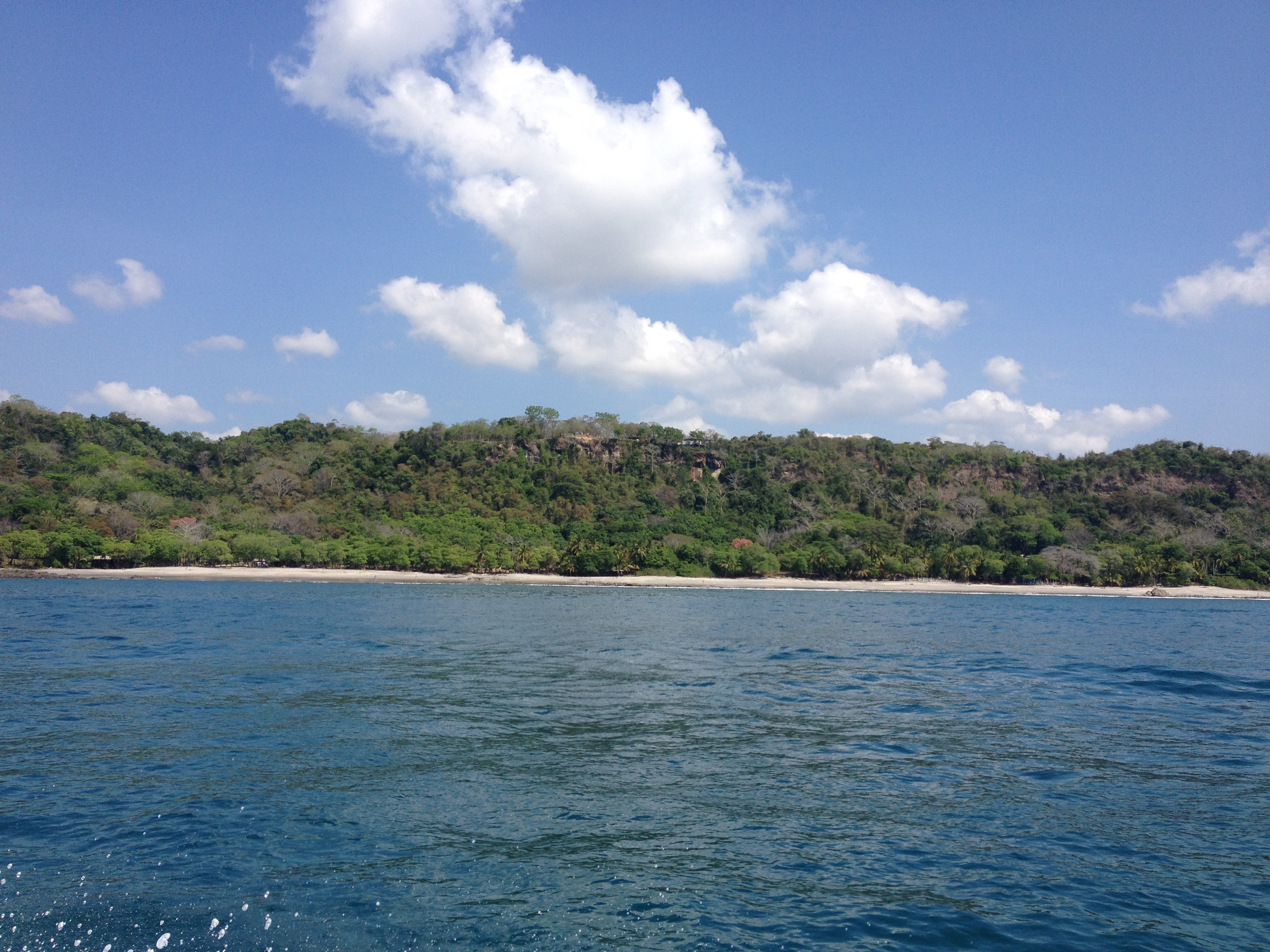 รูปถ่าย คอสตาริกา(Costa Rica) มอนเตซูมา(Montezuma) 2015-03 319