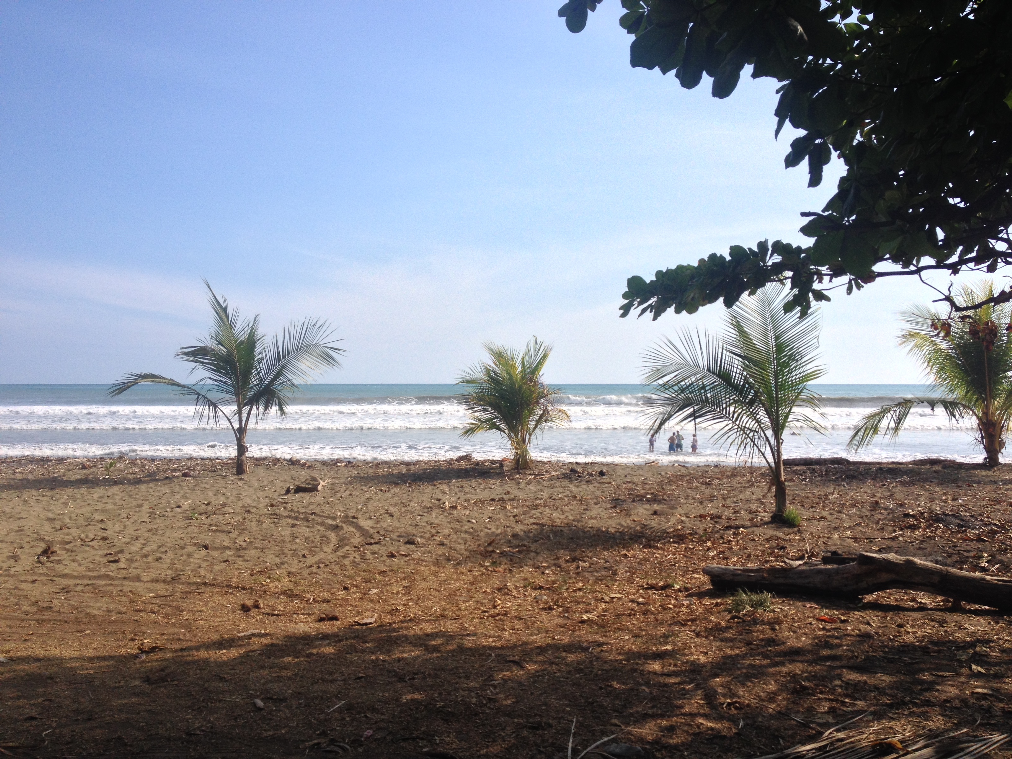 รูปถ่าย คอสตาริกา(Costa Rica) โดมินิกัล(Dominical) 2015-03 35