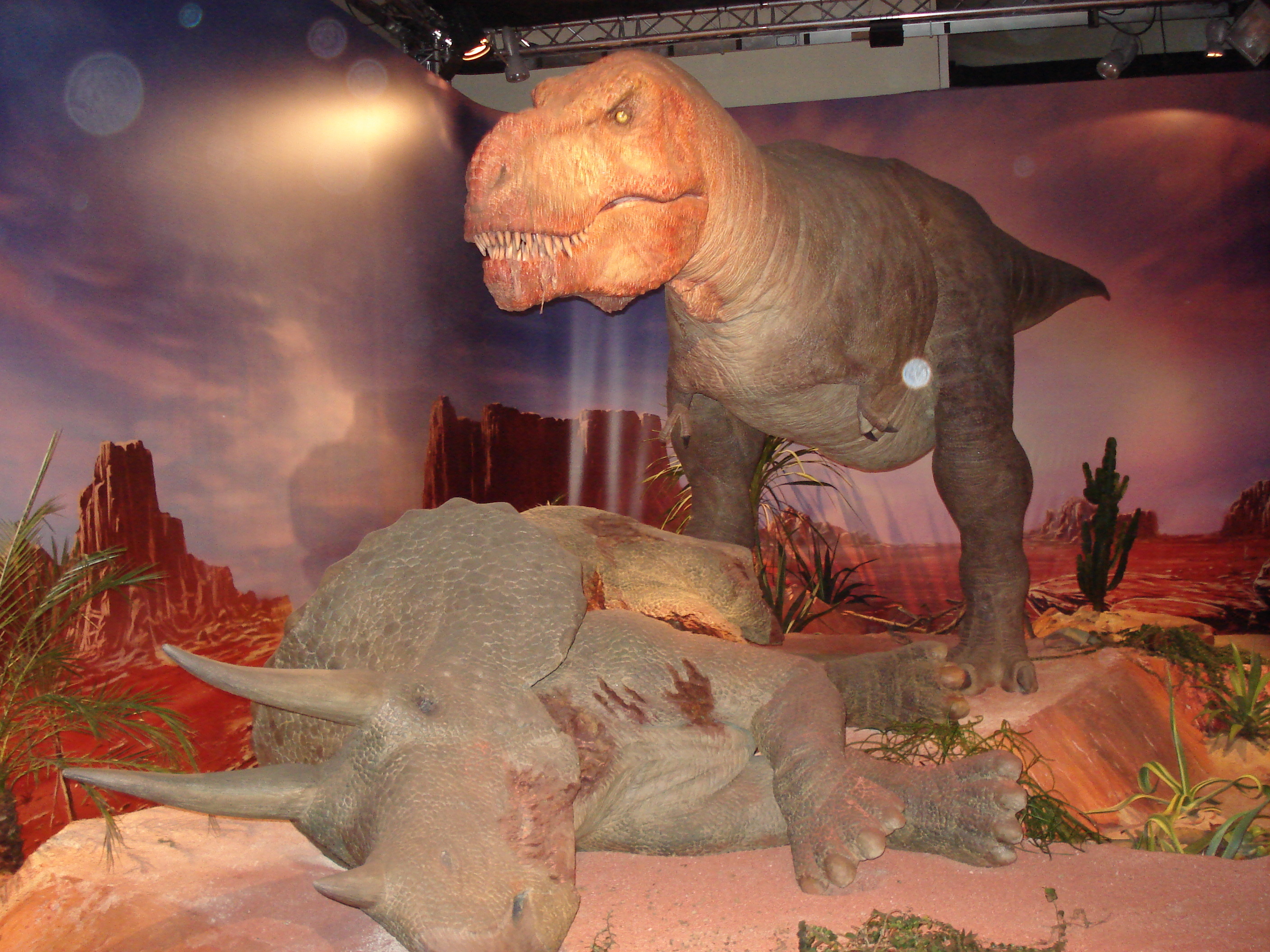 รูปถ่าย ฝรั่งเศส(France) ปารีส(Paris) ปาเลเดอลาเดกูแวร์ต(Palace of Discovery) 2006-04 43
