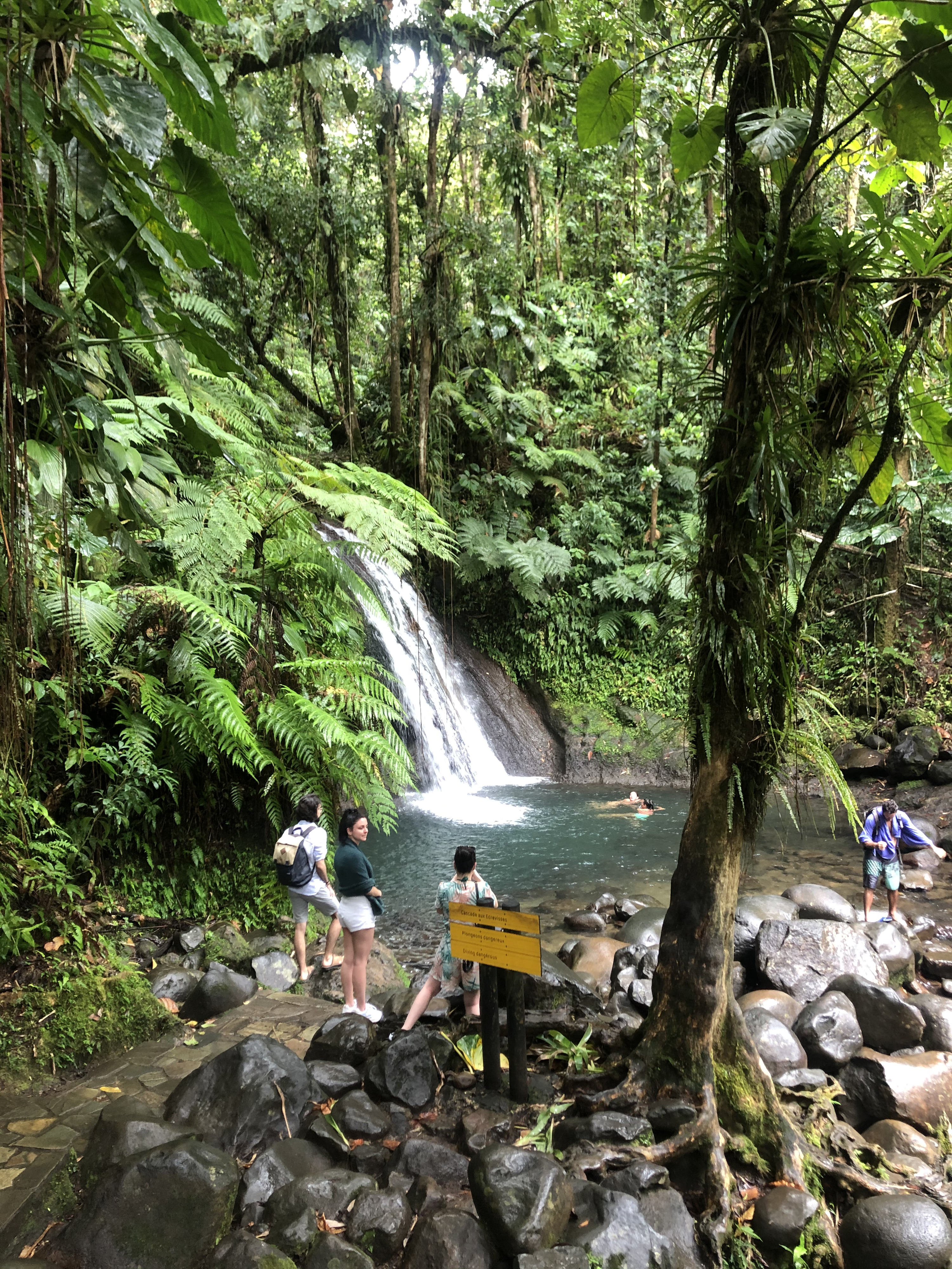 รูปถ่าย กวาเดอลูป(Guadeloupe) น้ำตกกุ้งเครย์ฟิช(Cascade aux ecrevisses) 2021-02 18