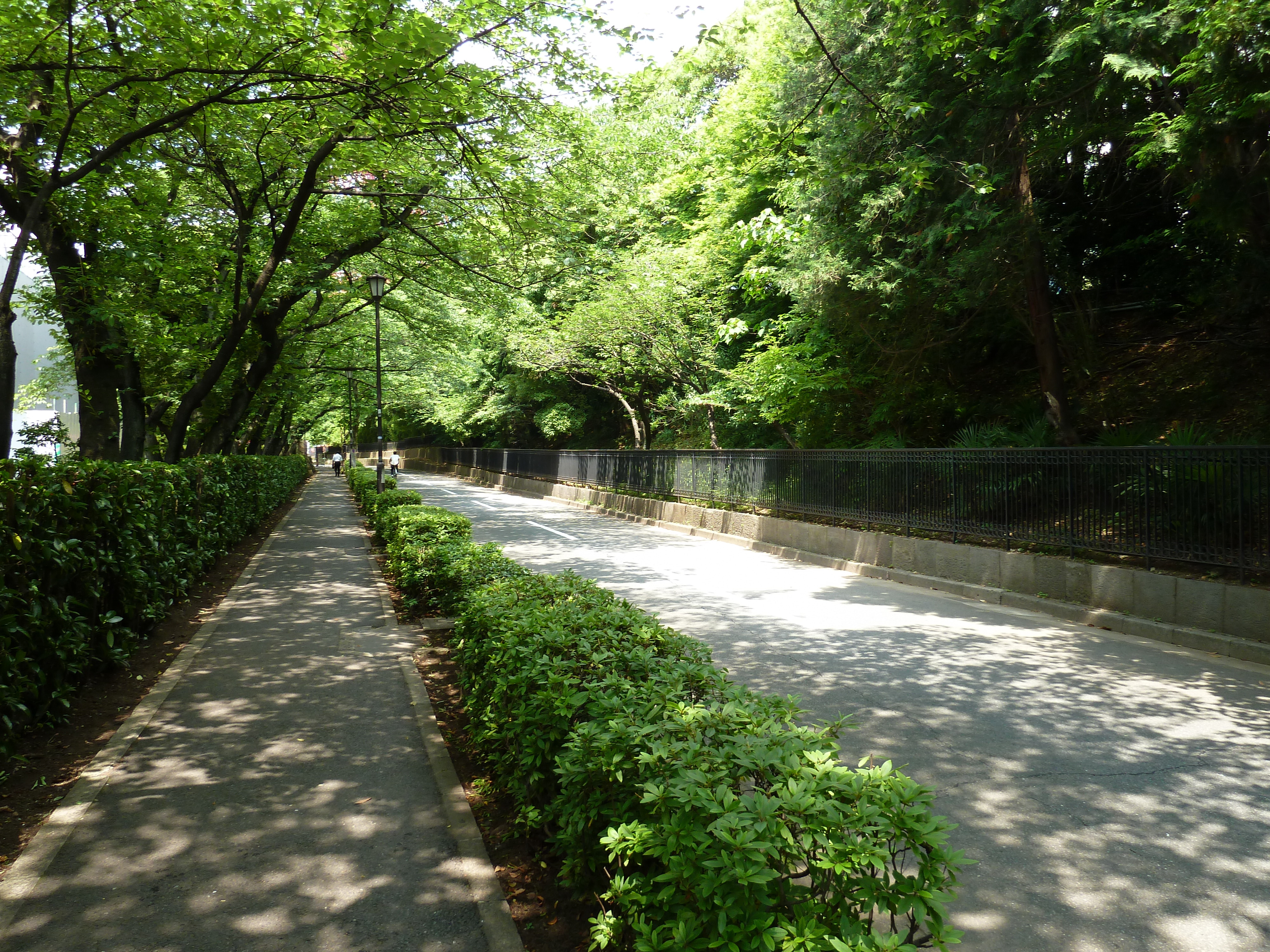 รูปถ่าย ญี่ปุ่น(Japan) โตเกียว(Tokyo) สวนชิบะ(Shiba Park) 2010-06 61