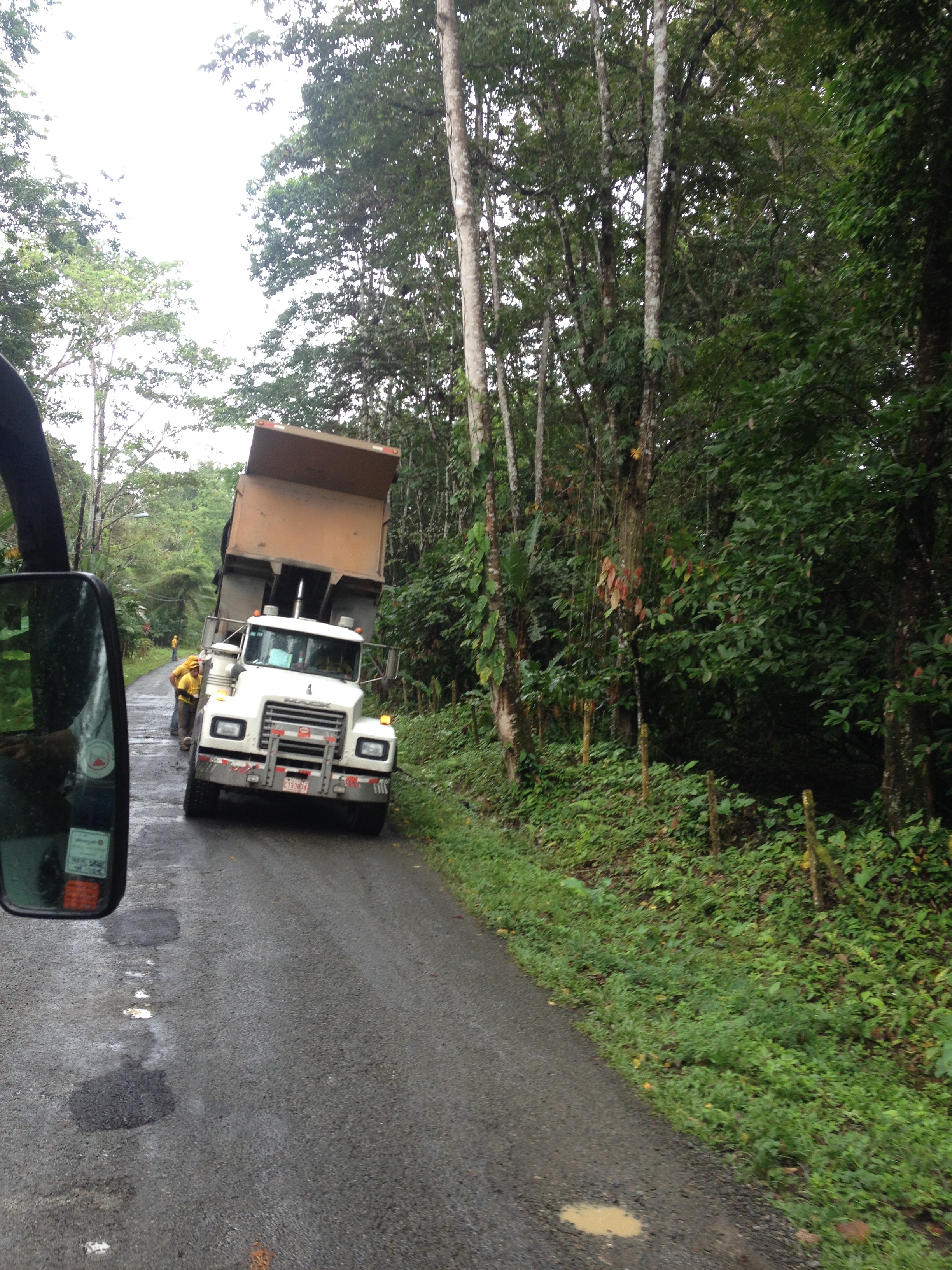 รูปถ่าย คอสตาริกา(Costa Rica) ปวยร์โตเบียโฆเดตาลามังกา(Puerto Viejo de Talamanca) 2015-03 96