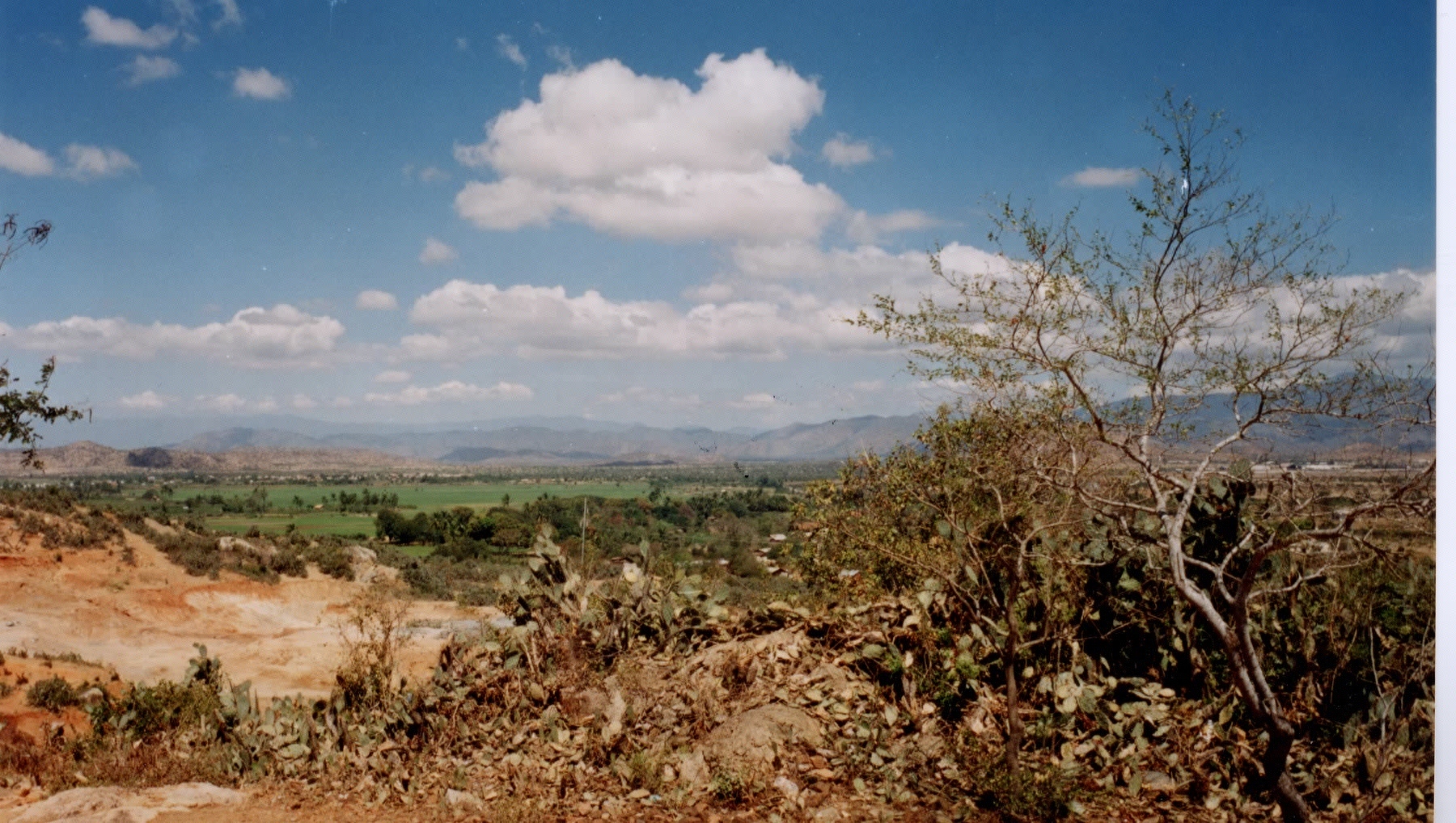 รูปถ่าย เวียดนาม(Vietnam) พันราง(Phan Rang) 1995-12 1
