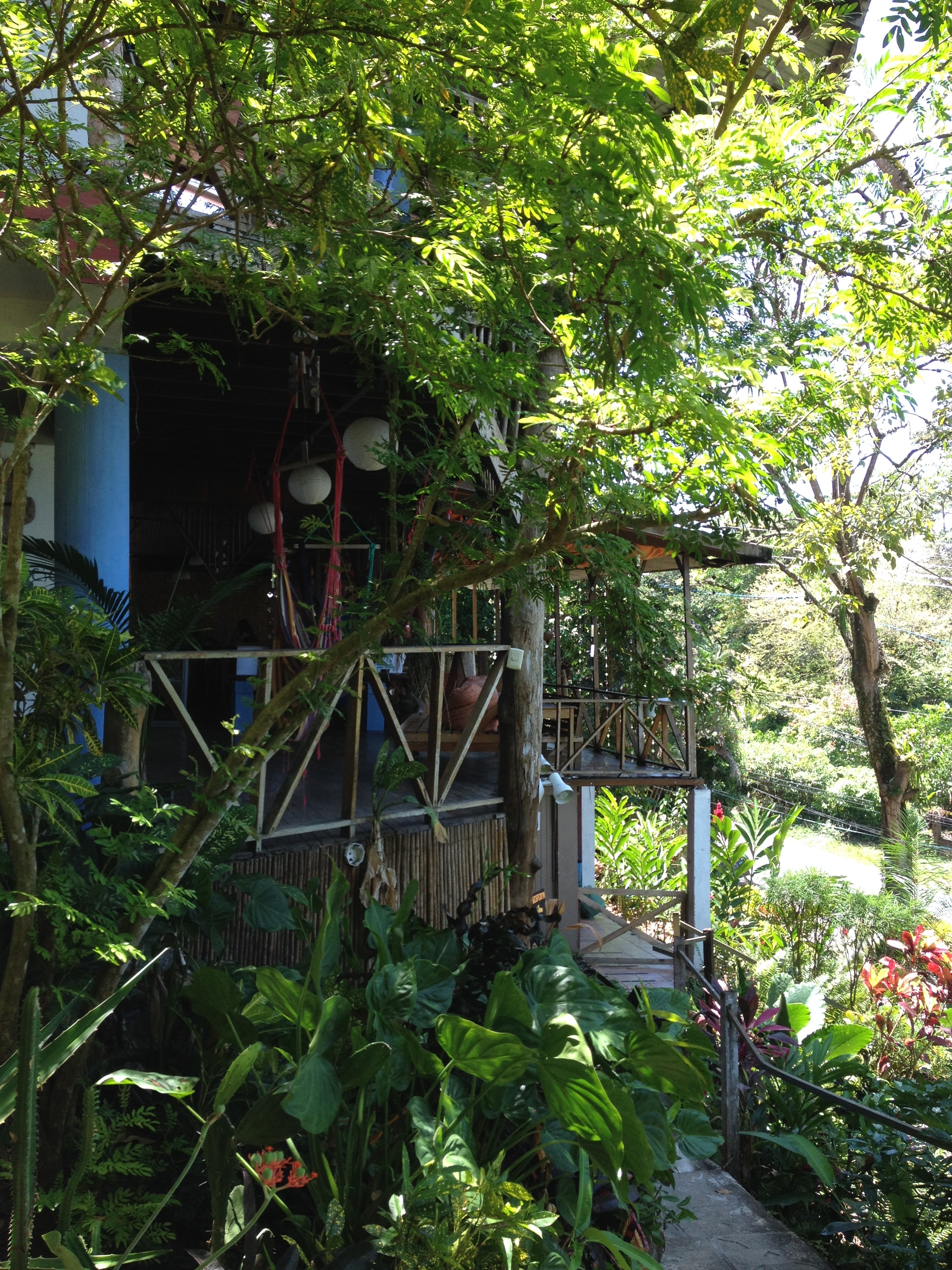 รูปถ่าย คอสตาริกา(Costa Rica) 2015-03 18