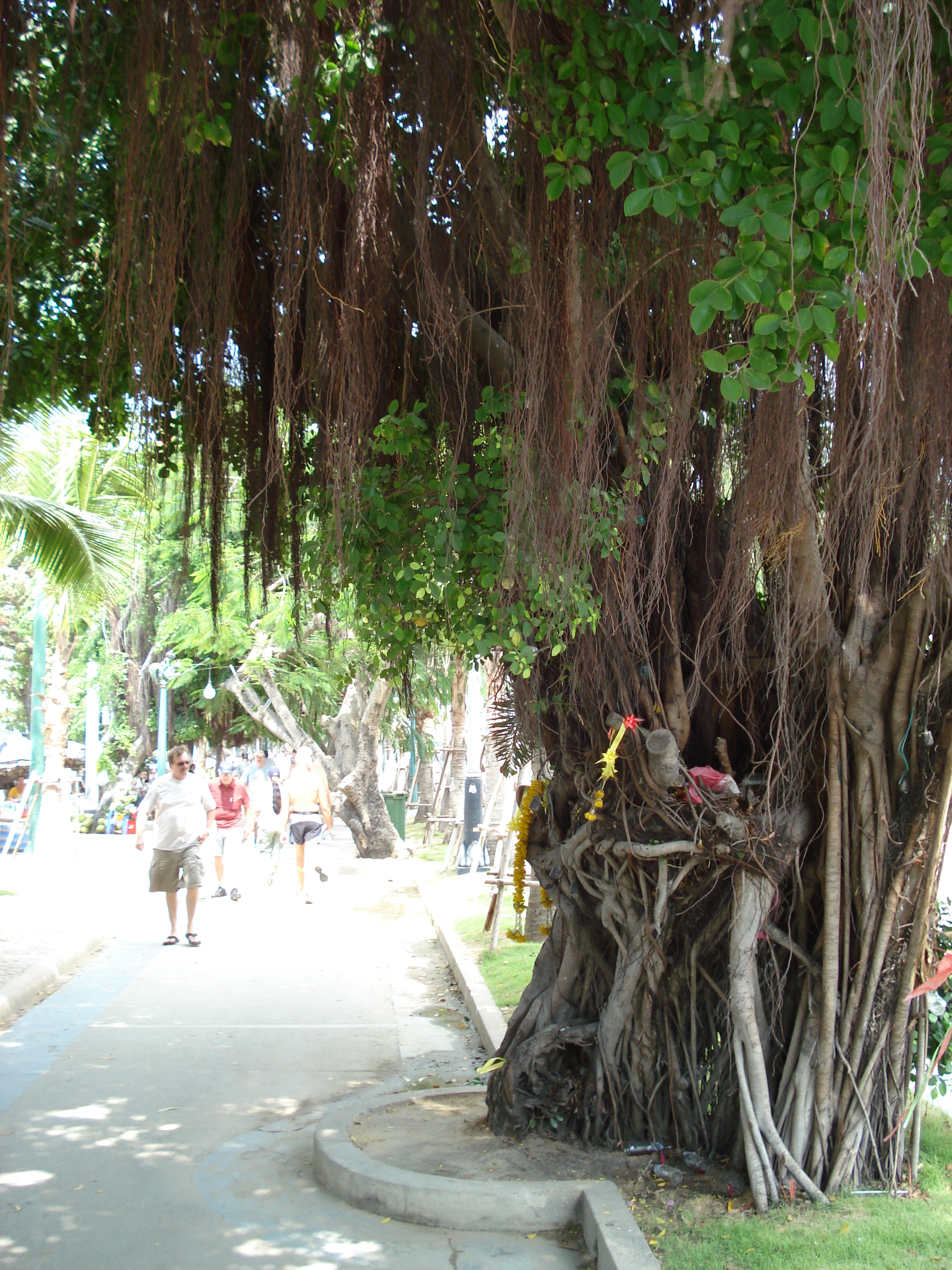 รูปถ่าย ไทย(Thailand) หาดพัทยา(Pattaya Beach) 2007-02 42