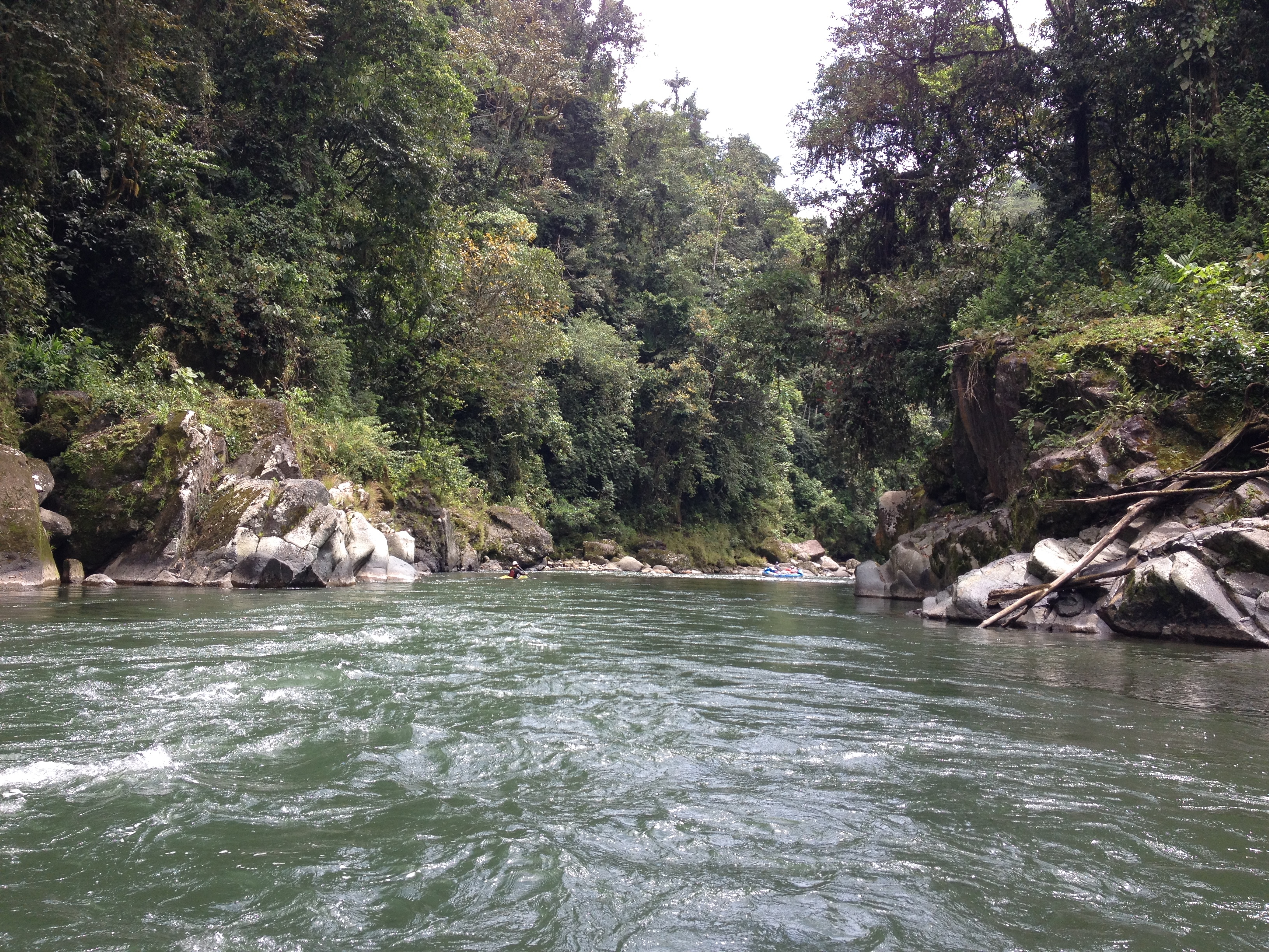 รูปถ่าย คอสตาริกา(Costa Rica) แม่น้ำปากัวเร(Pacuare River) 2015-03 203