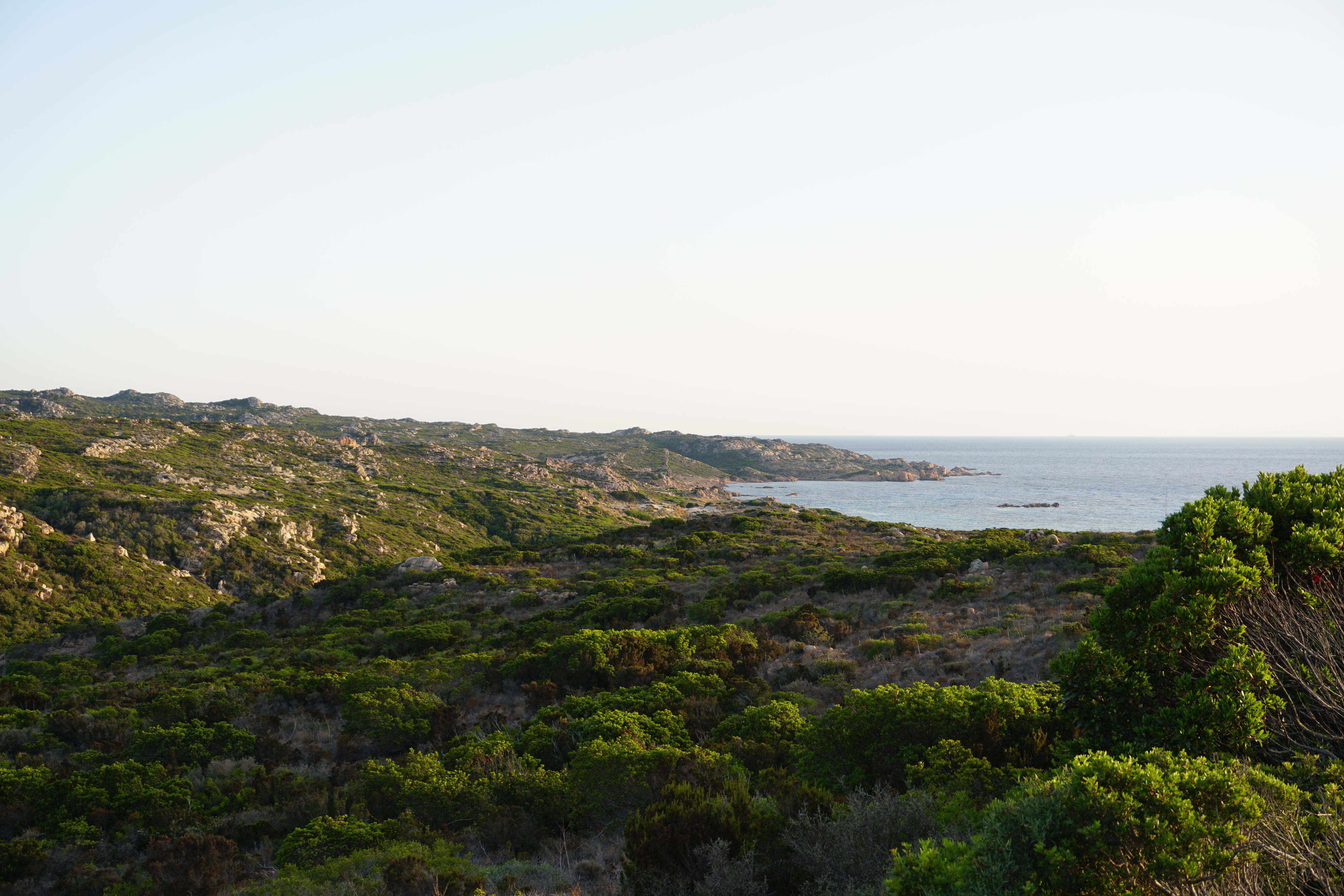 รูปถ่าย ฝรั่งเศส(France) คอร์สิคา(Corsica) หาดตอนนารา(Tonnara Beach) 2017-07 20