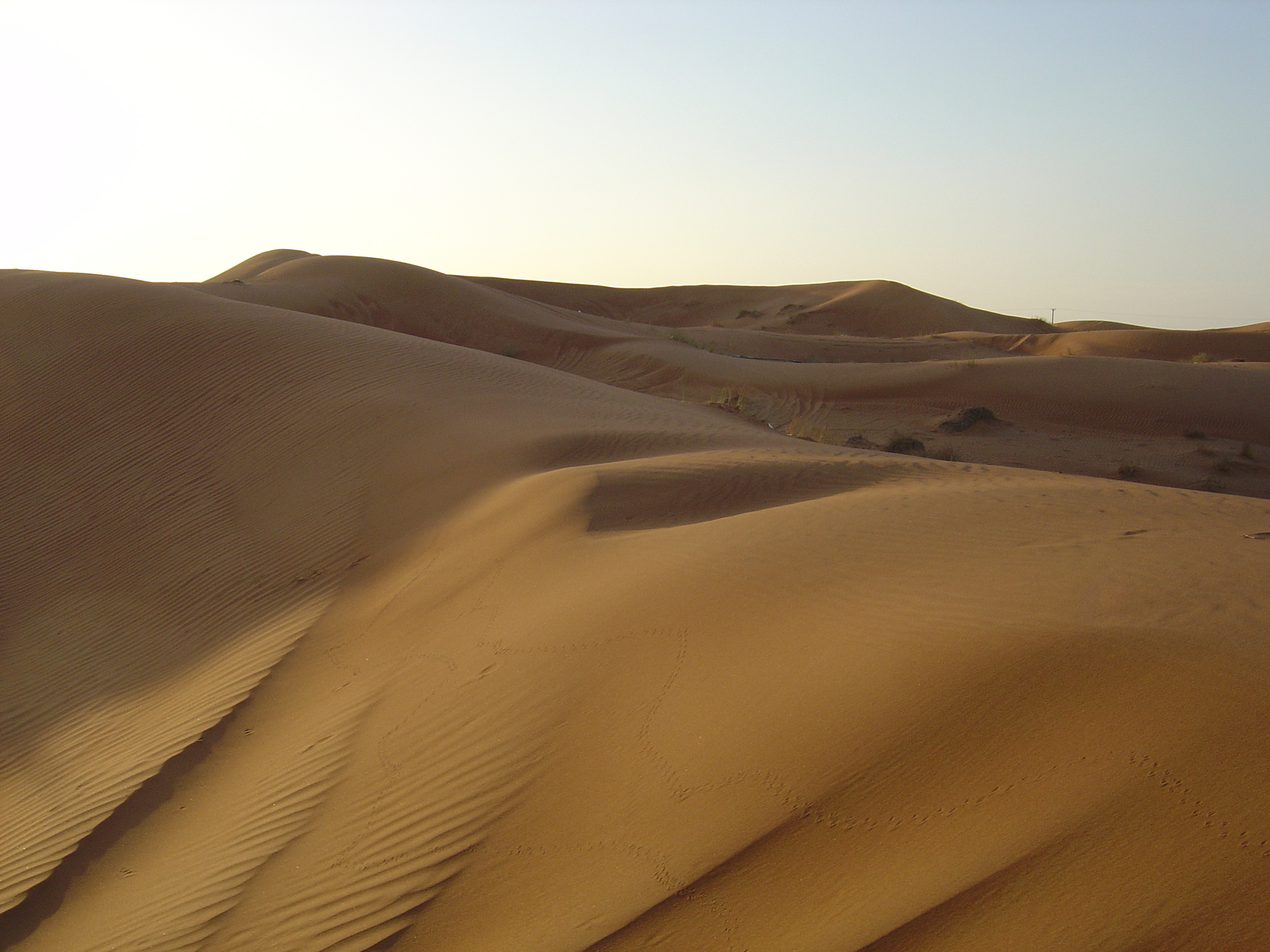 รูปถ่าย สหรัฐอาหรับเอมิเรตส์(United Arab Emirates) อาเลอิน(Al Ain) ทะเล(Desert) 2005-11 5