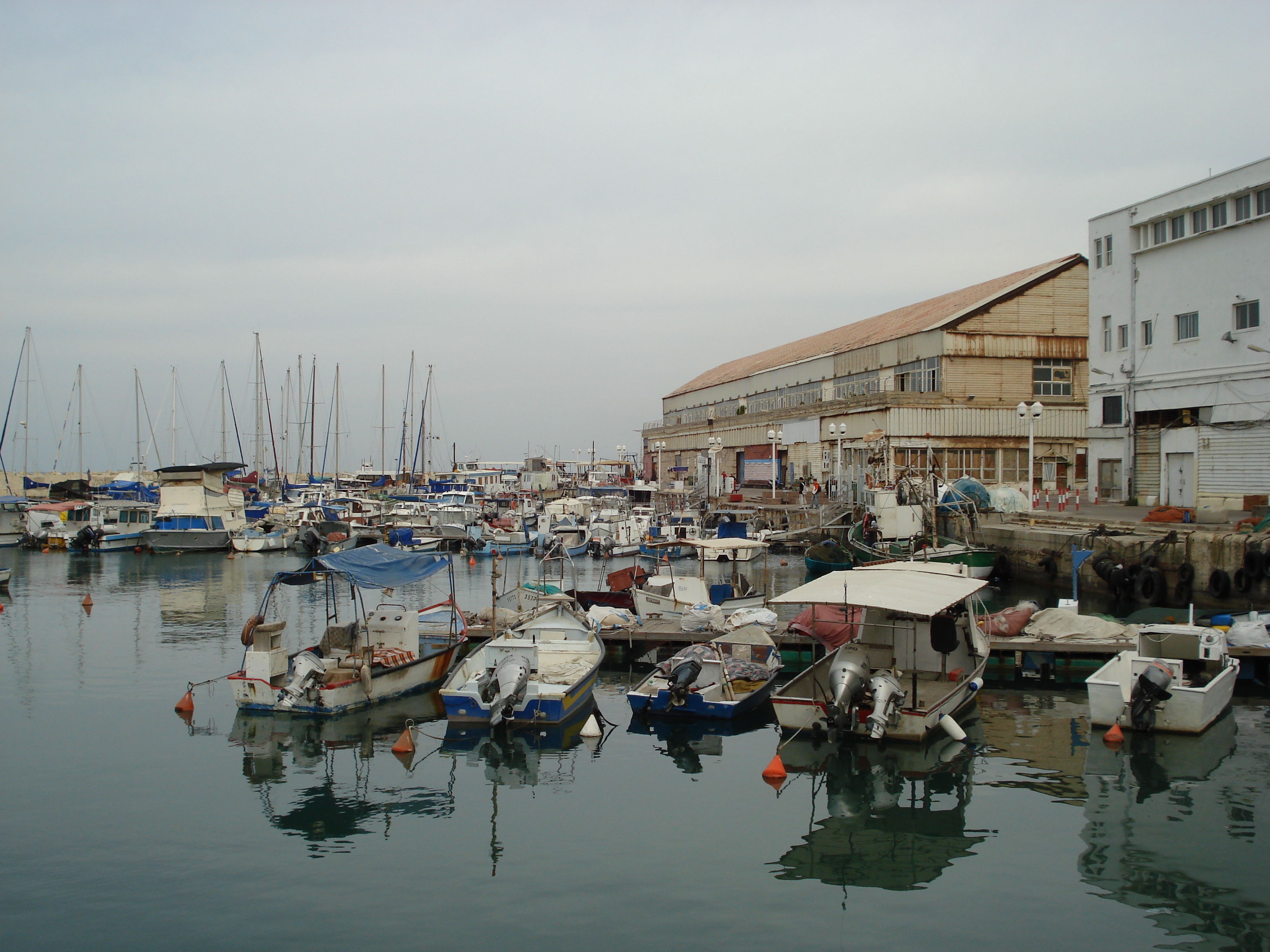 รูปถ่าย อิสราเอล(Israel) จาฟา(Jaffa) 2006-12 251