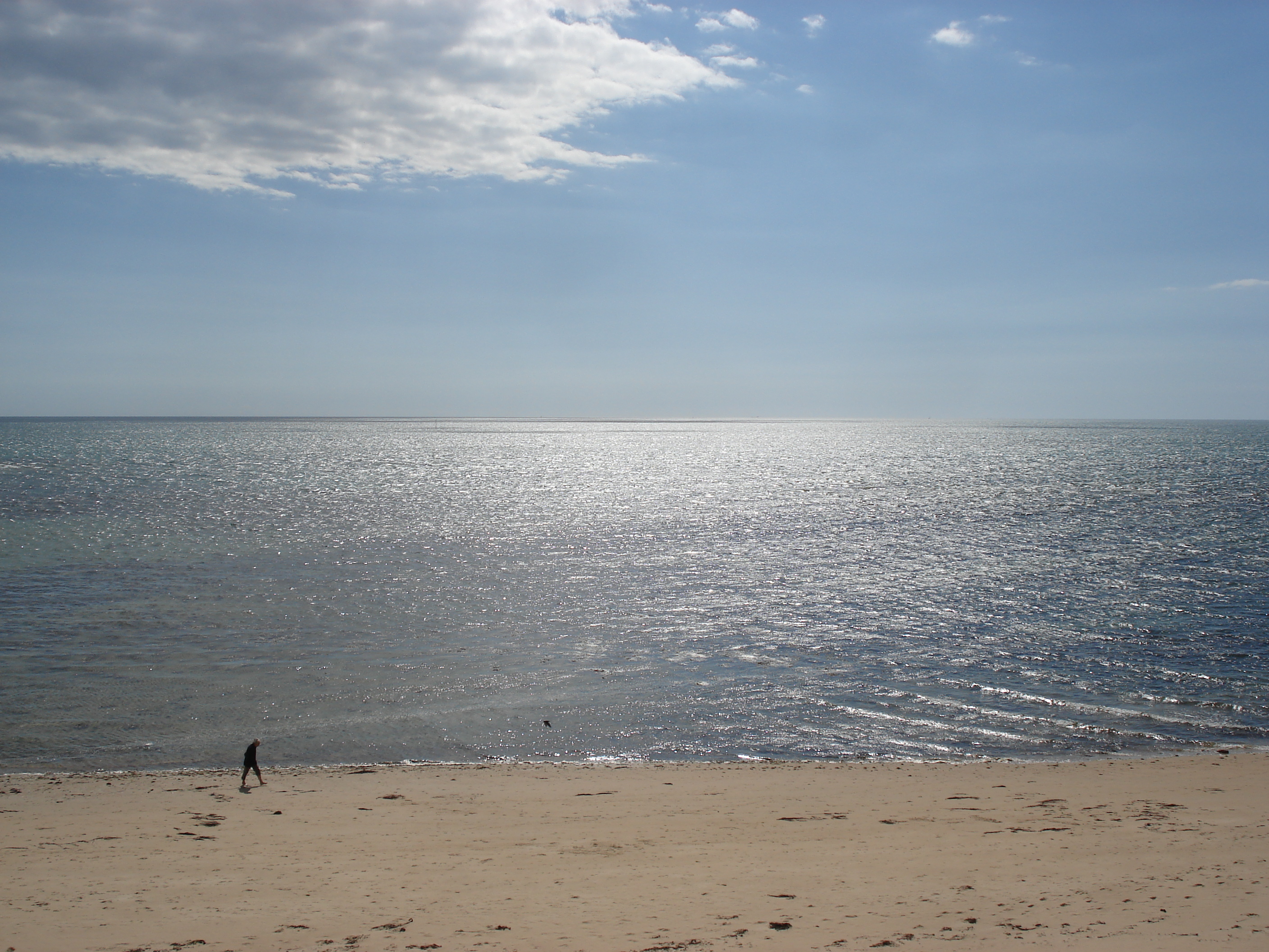 รูปถ่าย ฝรั่งเศส(France) นีวร์มูทีเย(Noirmoutier) 2006-08 23