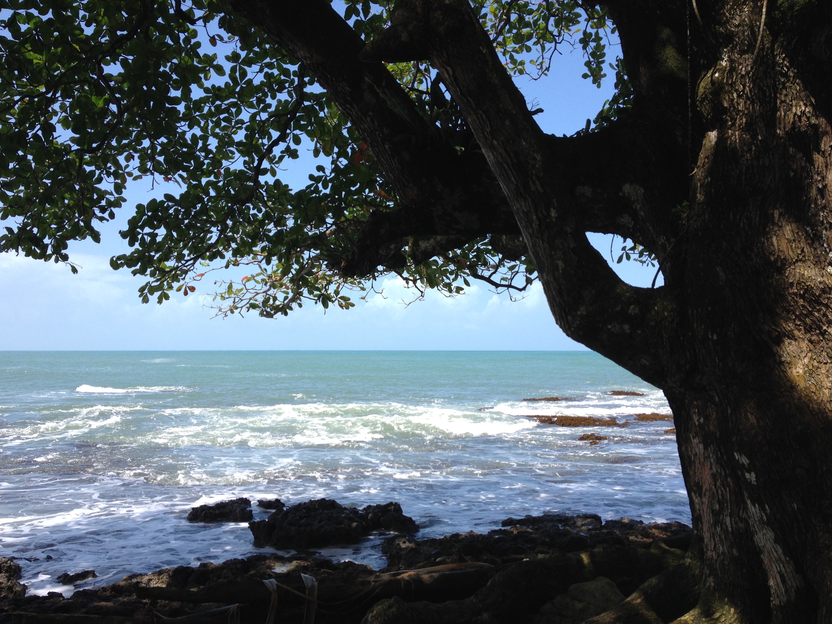รูปถ่าย คอสตาริกา(Costa Rica) กาอุยตา(Cahuita) 2015-03 15
