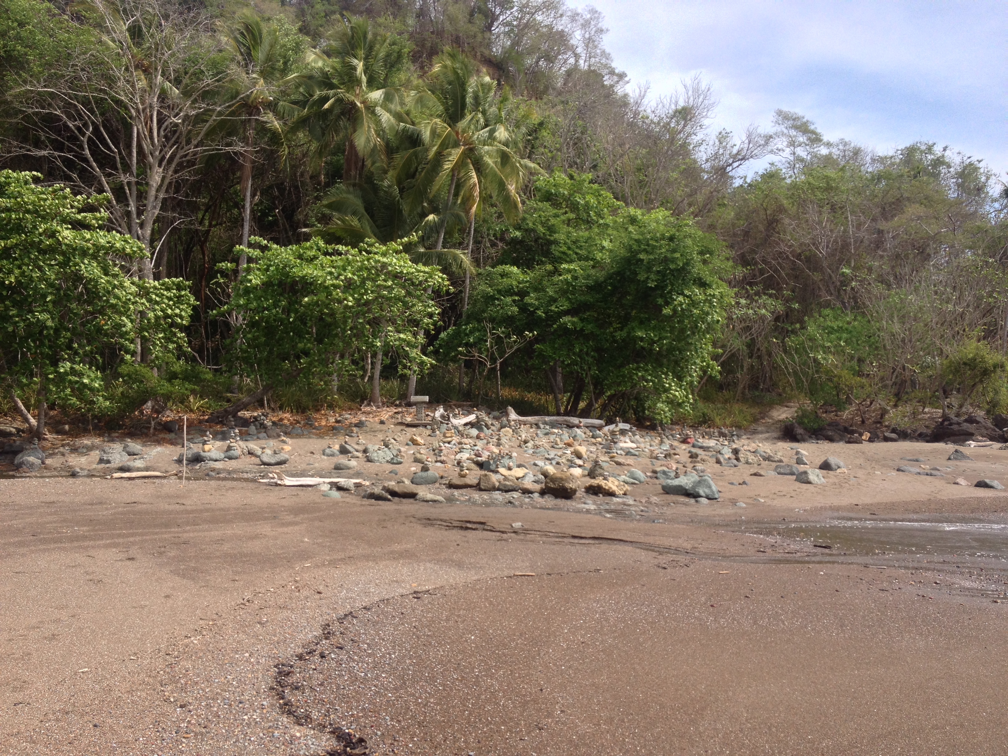 รูปถ่าย คอสตาริกา(Costa Rica) มอนเตซูมา(Montezuma) 2015-03 588