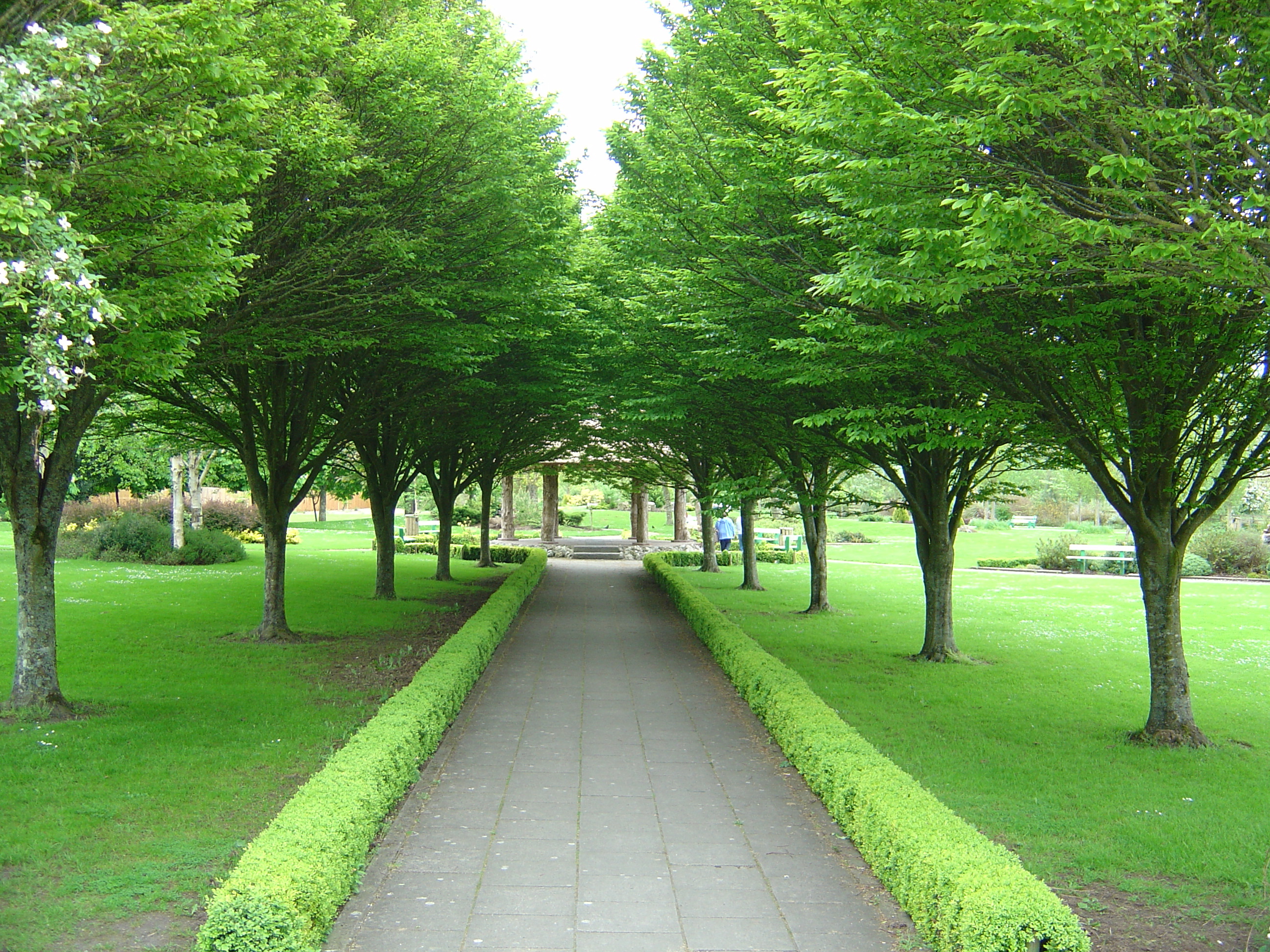 รูปถ่าย ไอร์แลนด์(Ireland) เคาน์ตีลิเมอริก(Limerick County) อาแดร์(Adare) 2004-05 28