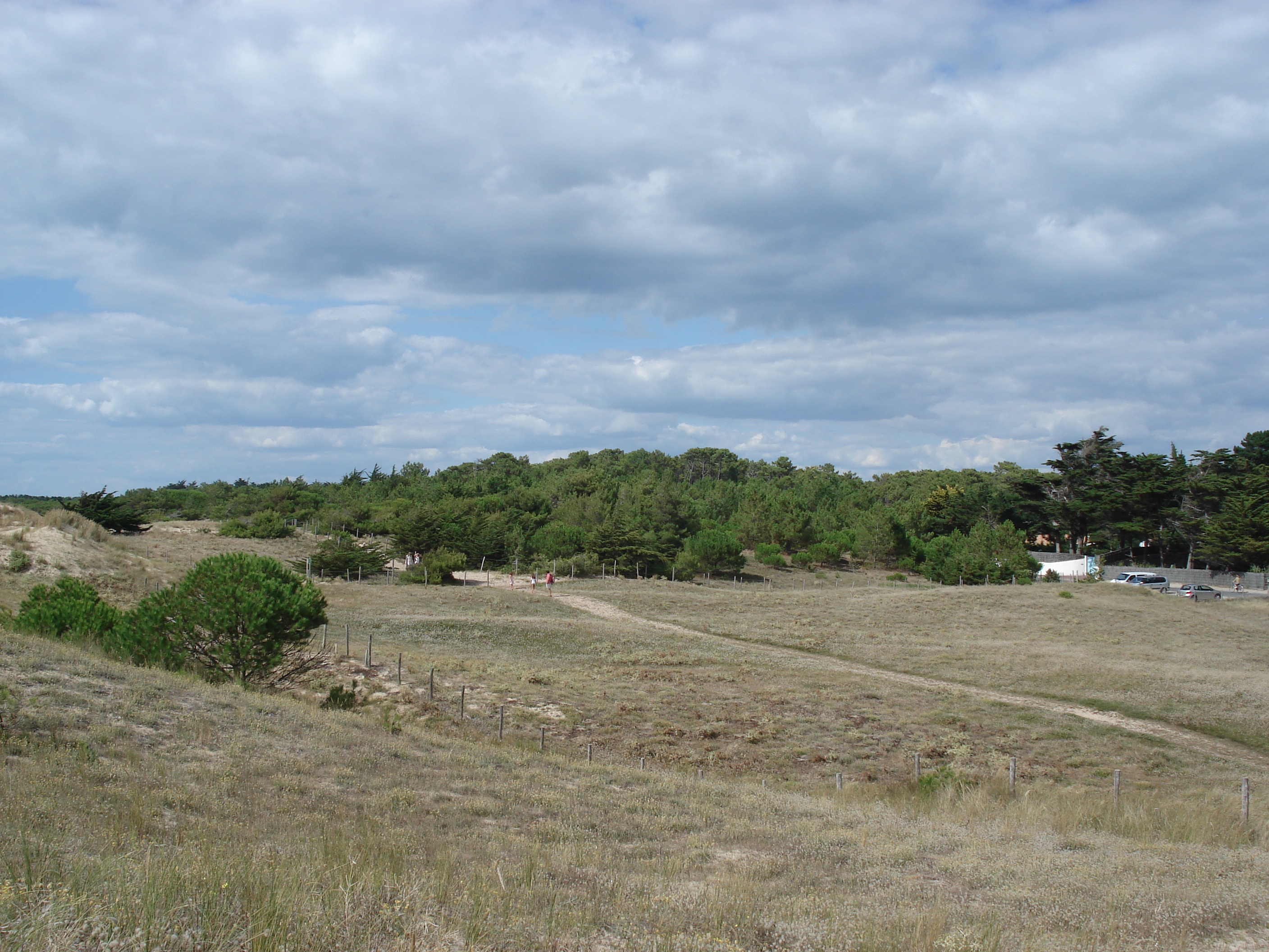 รูปถ่าย ฝรั่งเศส(France) นีวร์มูทีเย(Noirmoutier) 2006-08 42