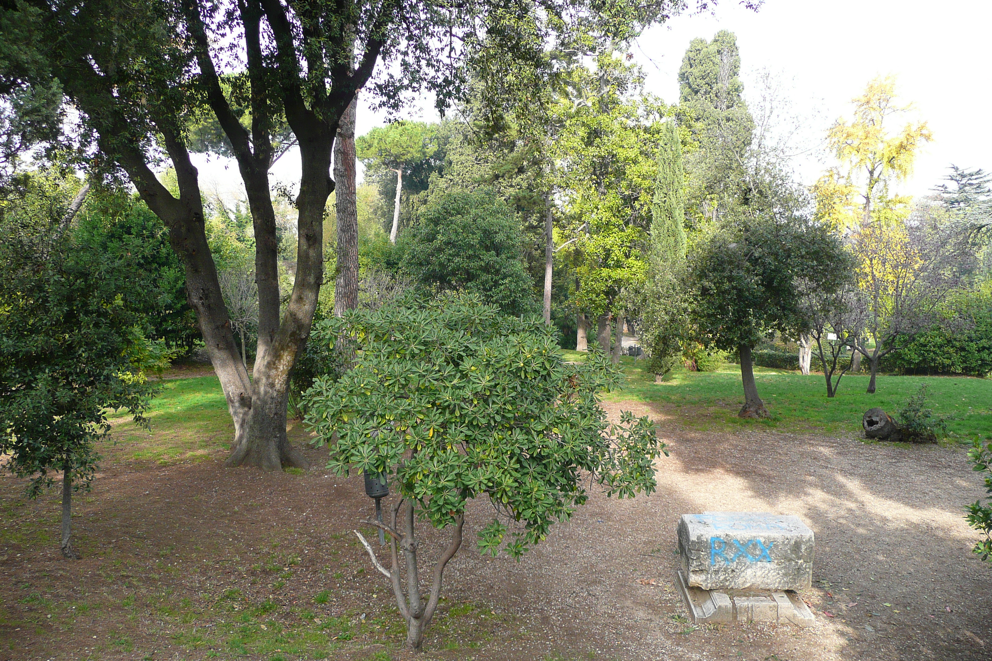 รูปถ่าย อิตาลี(Italy) โรม(Rome) วิลลาชาร์รา(Villa Sciarra) 2007-11 55