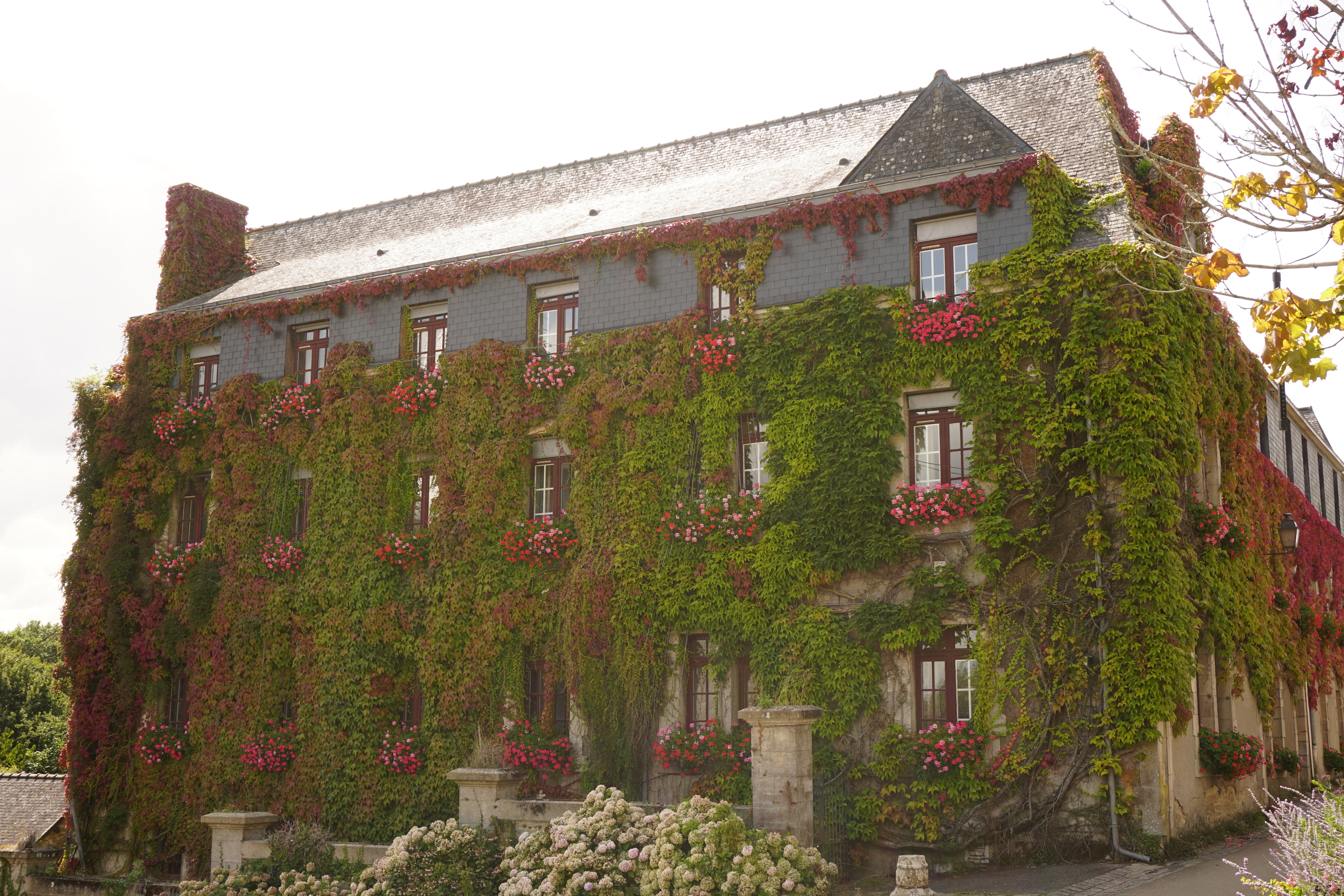 รูปถ่าย ฝรั่งเศส(France) รอชฟอร์-อ็อง-แตร์(Rochefort en terre) 2017-08 1