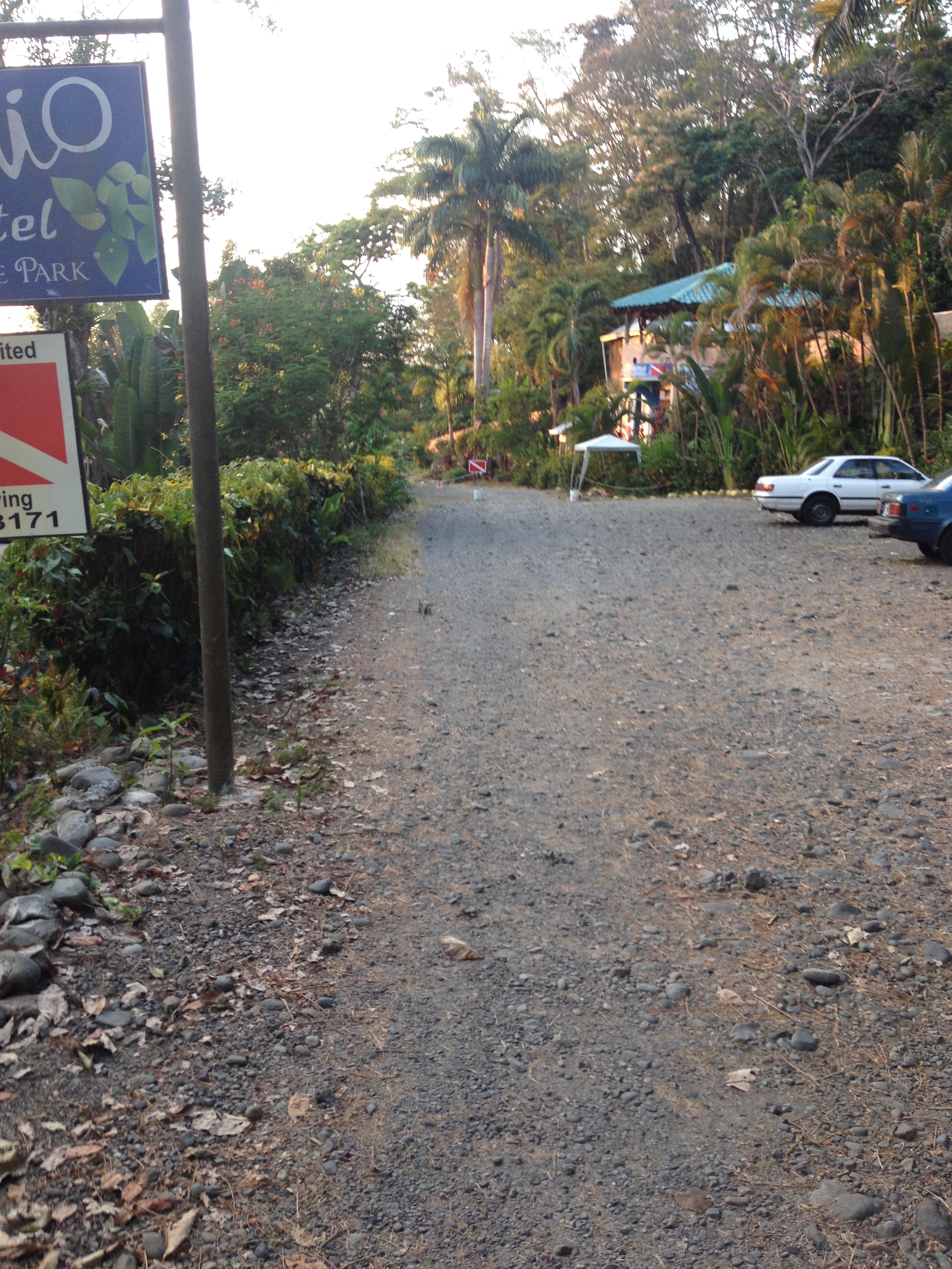 รูปถ่าย คอสตาริกา(Costa Rica) มานวยล์อันโตนีโอ(Manuel Antonio) 2015-03 518