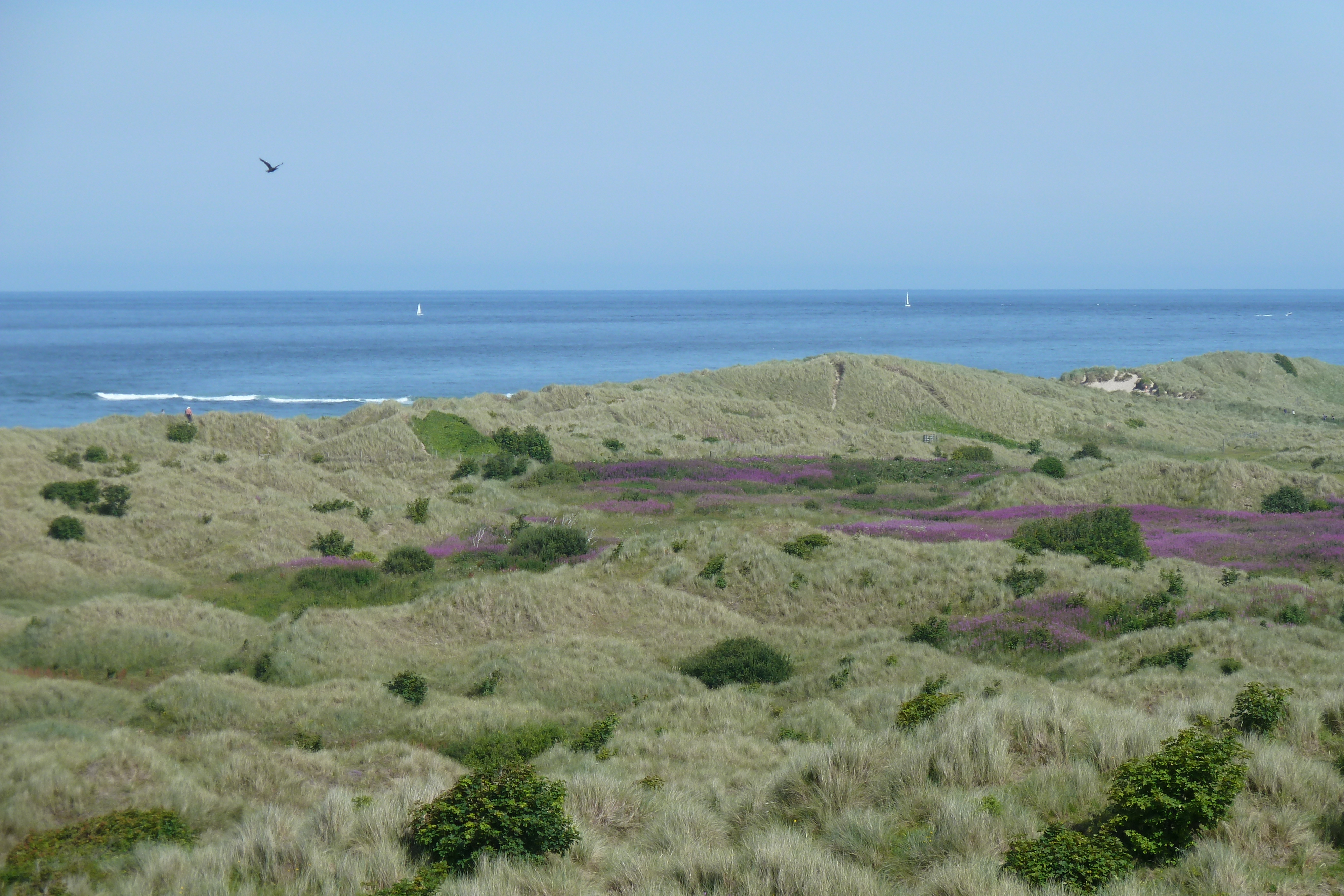รูปถ่าย อังกฤษ(United Kingdom) สกอตแลนด์(Scotland) ปราสาทแบมเบิร์ก(Bamburgh Castle) 2011-07 135