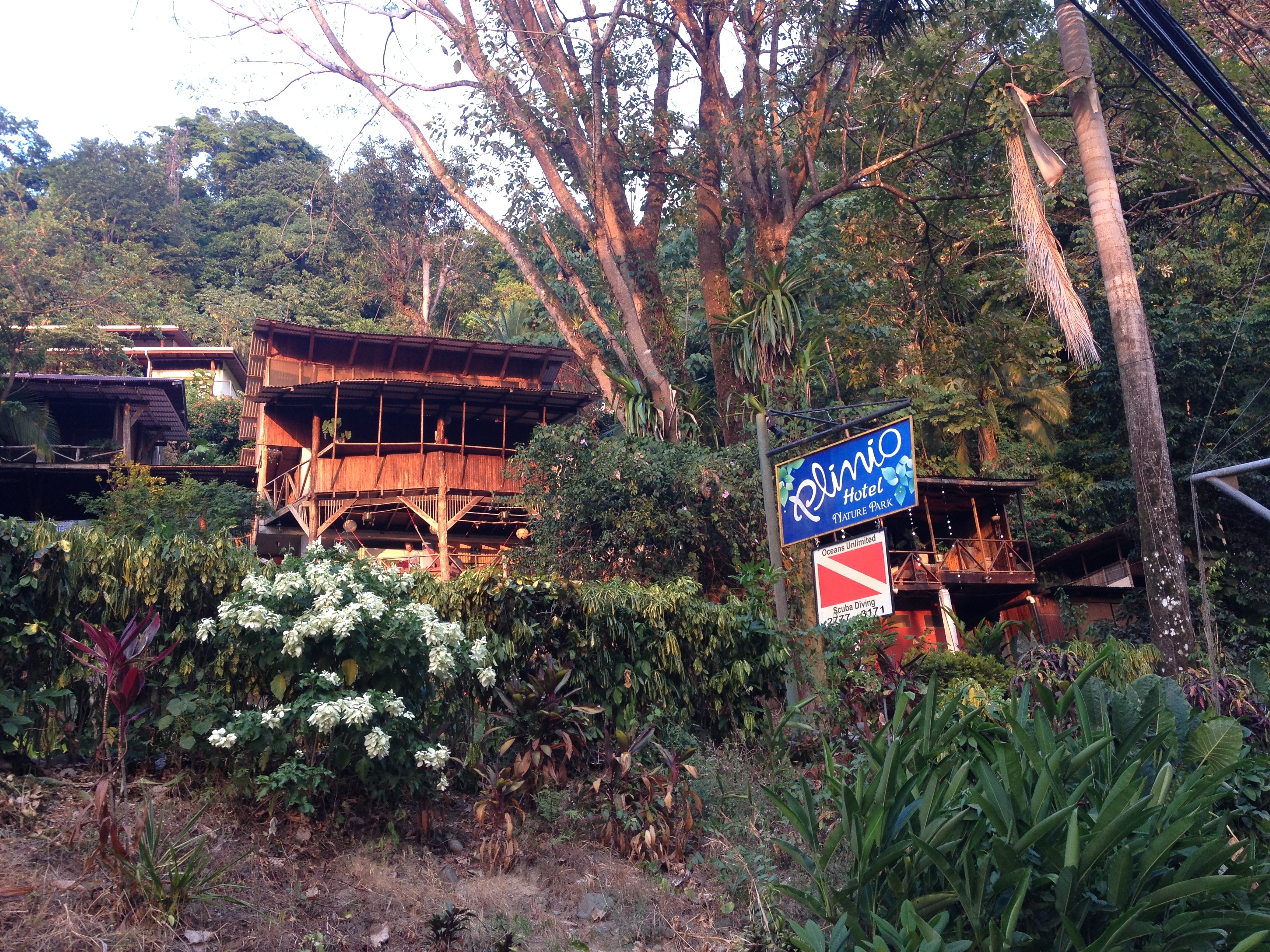 รูปถ่าย คอสตาริกา(Costa Rica) มานวยล์อันโตนีโอ(Manuel Antonio) 2015-03 425