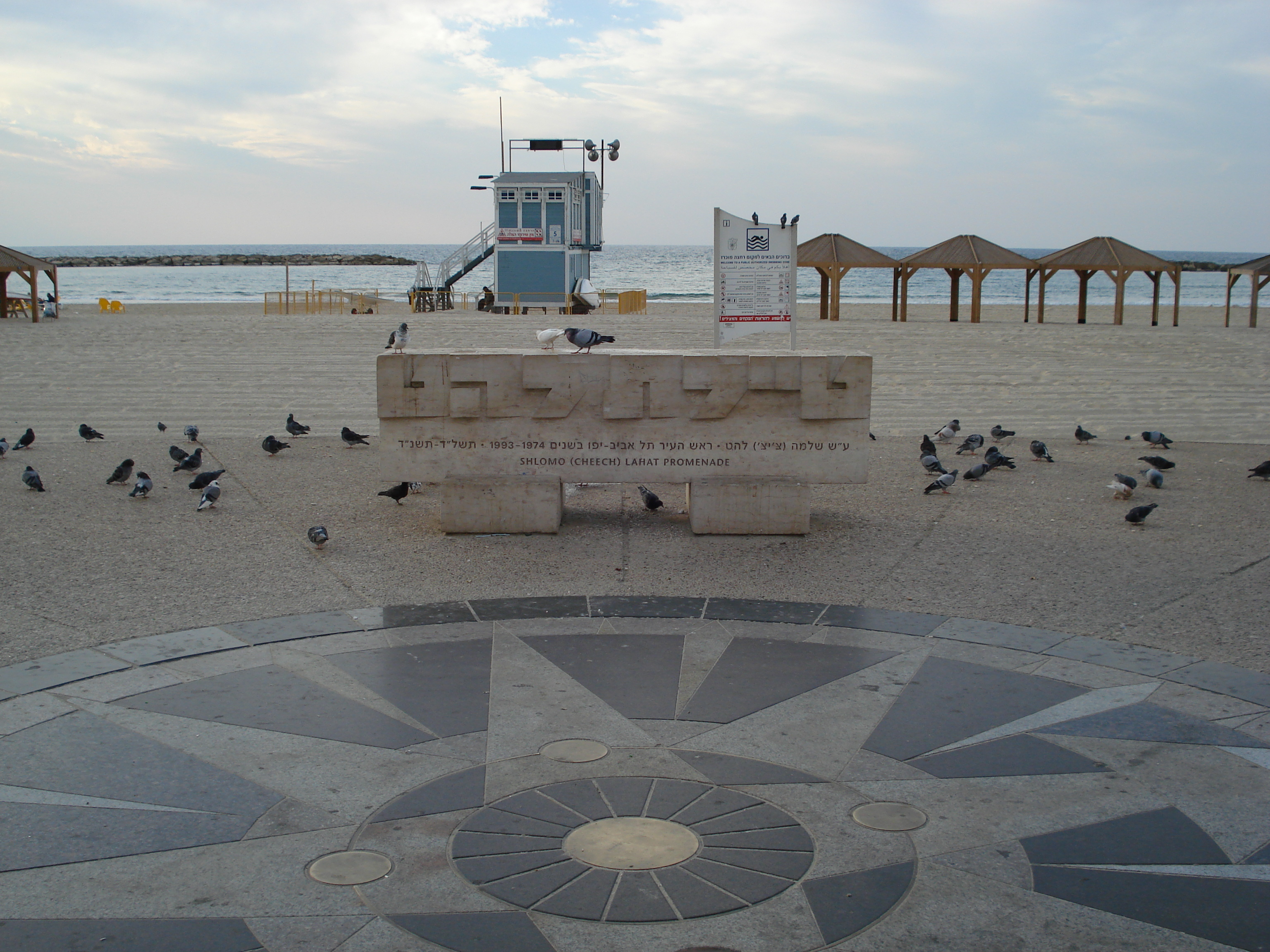 รูปถ่าย อิสราเอล(Israel) เทลอาวีฟ(Tel Aviv) ชายหาดเทลอาวีฟ(Tel Aviv Sea Shore) 2006-12 193