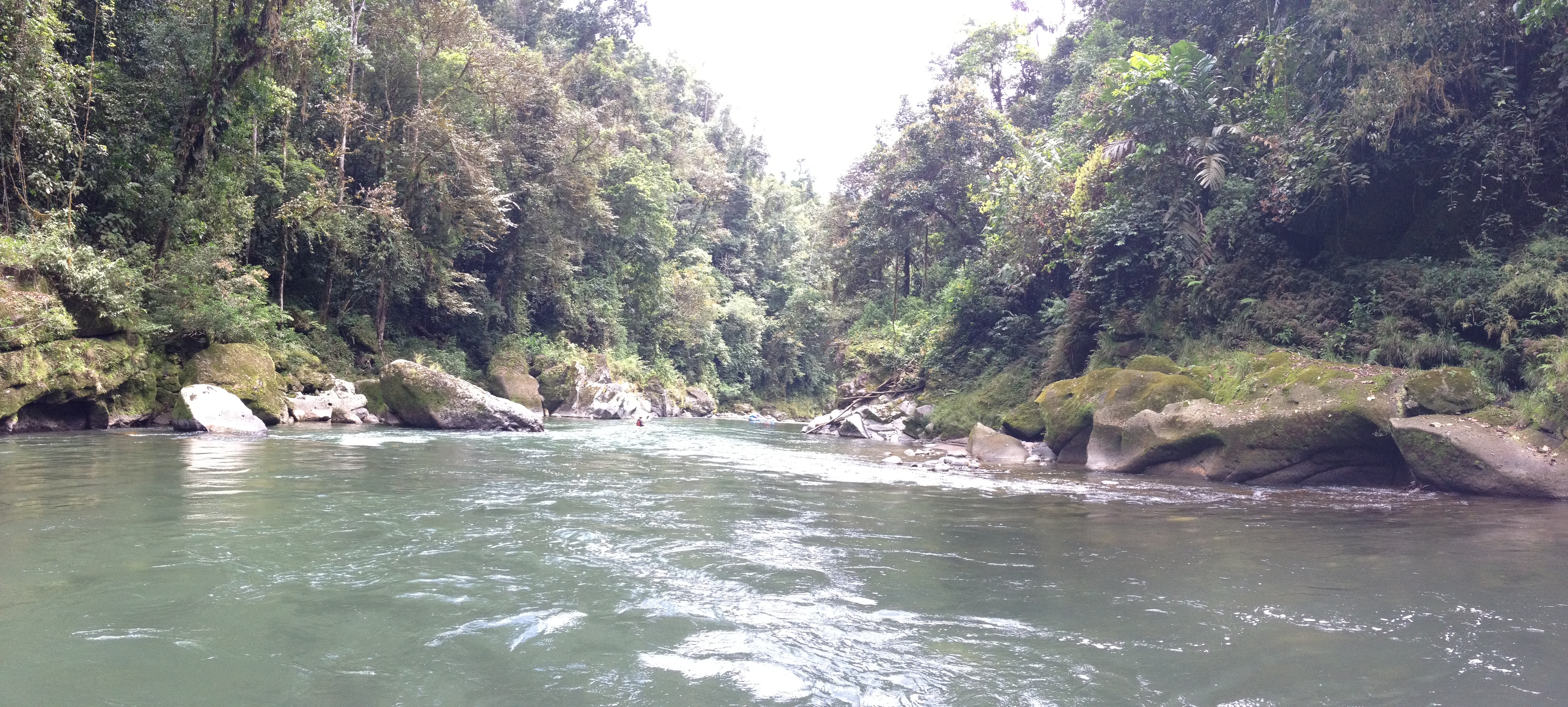 รูปถ่าย คอสตาริกา(Costa Rica) แม่น้ำปากัวเร(Pacuare River) 2015-03 165
