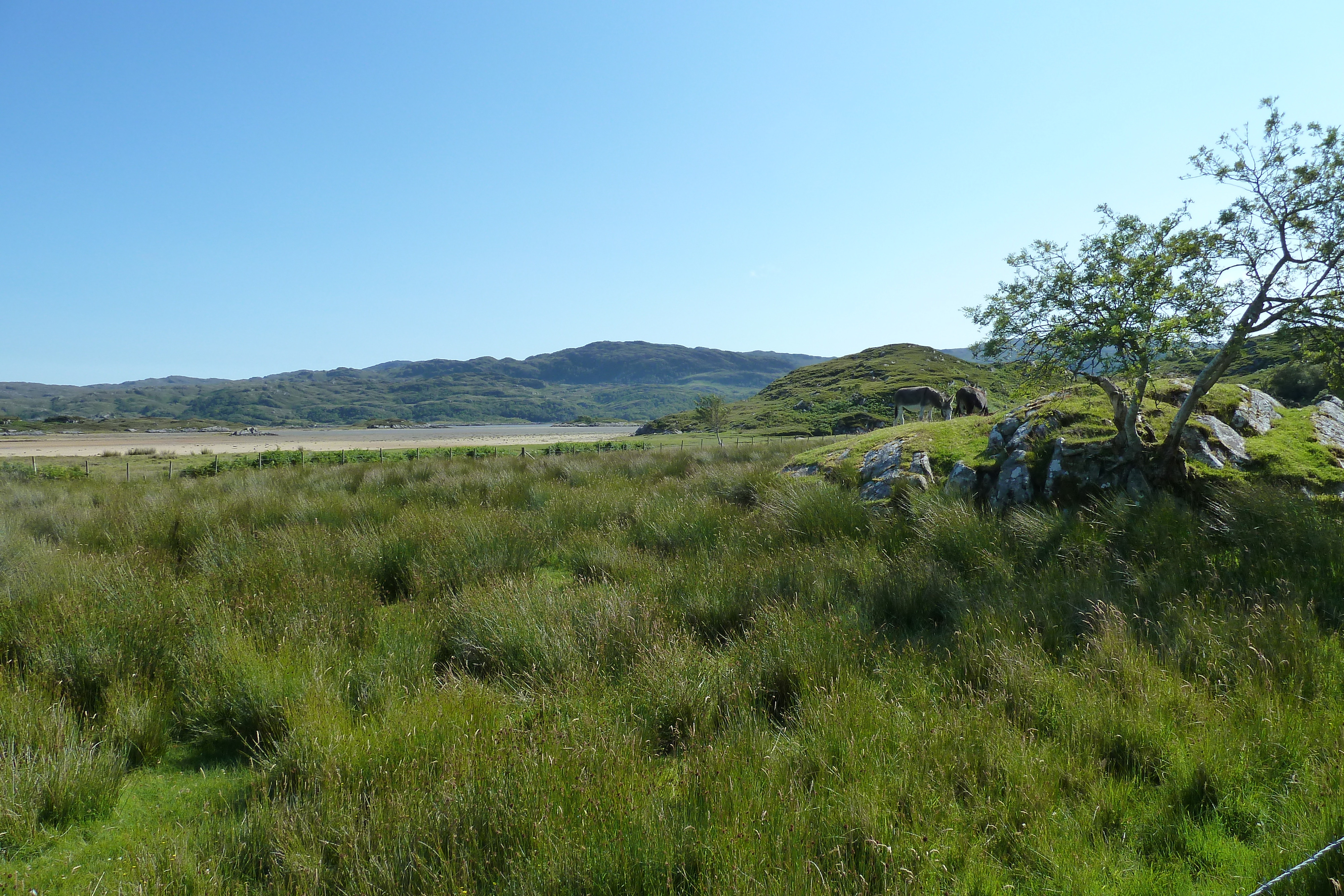 รูปถ่าย อังกฤษ(United Kingdom) สกอตแลนด์(Scotland) เซเลน(Salen) 2011-07 72