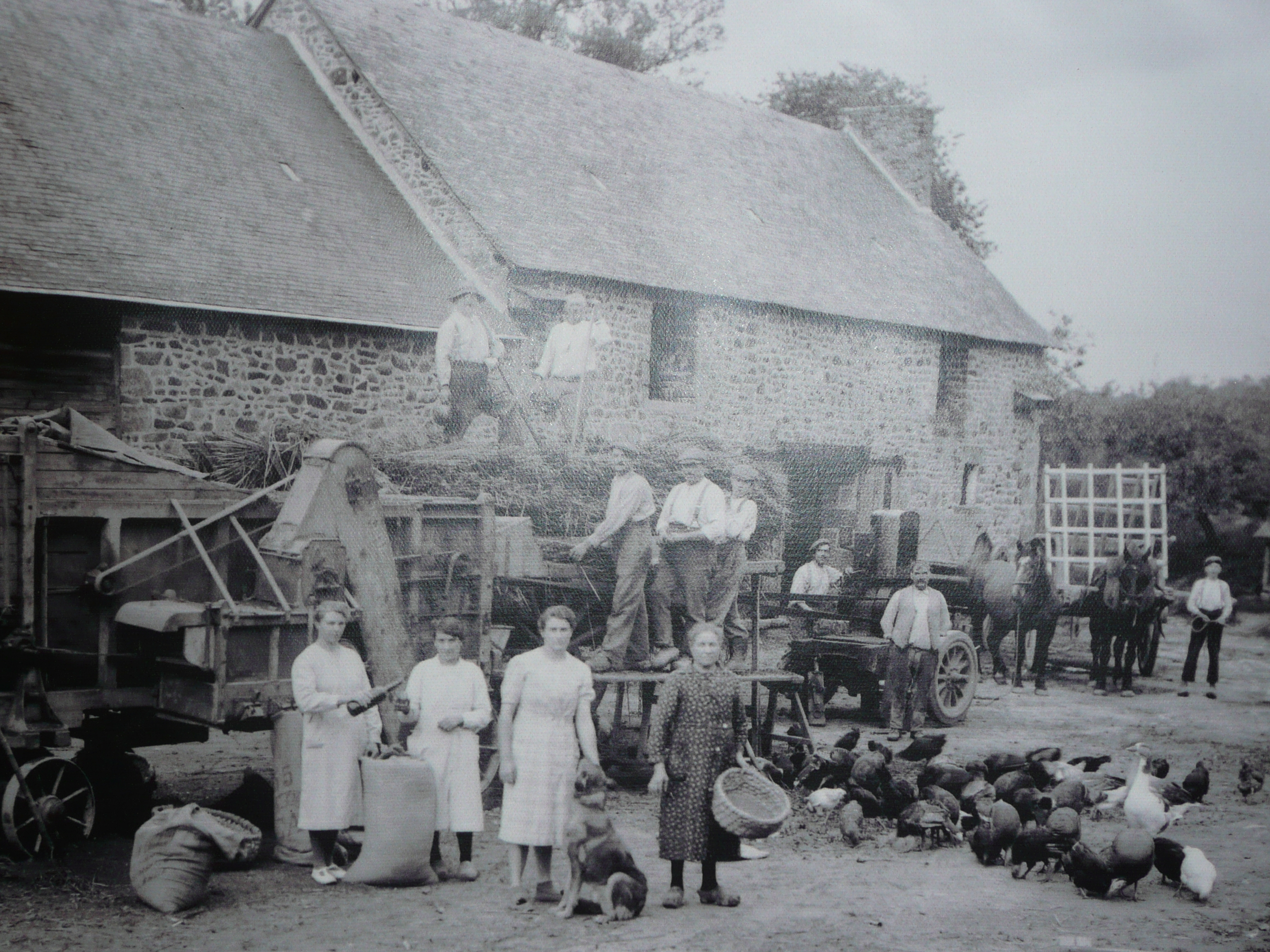 รูปถ่าย ฝรั่งเศส(France) ปองติวี่(Pontivy) ปราสาทดยุกแห่งโรออง(Rohan's Dukes Castle) 2007-08 55