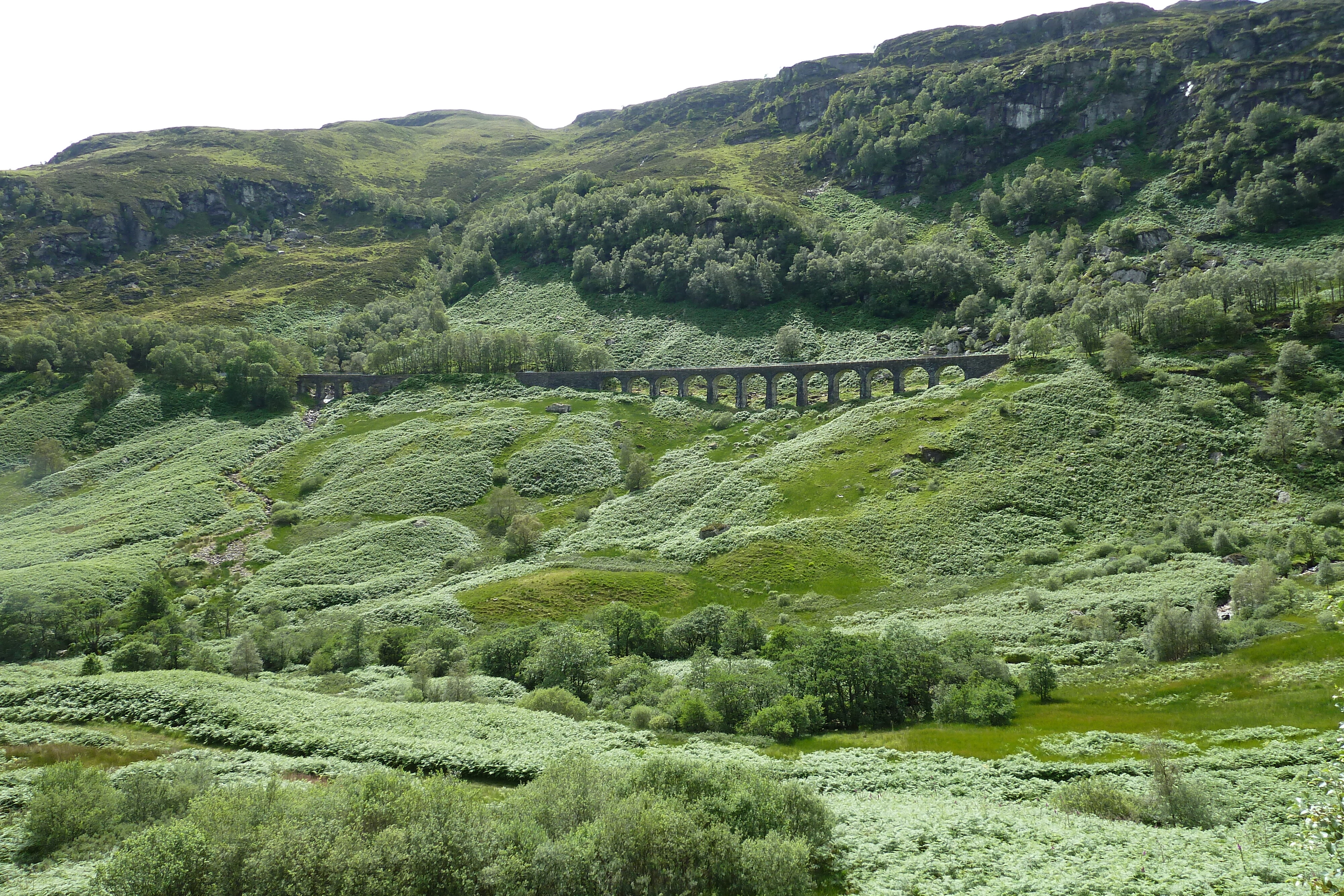 รูปถ่าย อังกฤษ(United Kingdom) ทรอสซักส์(The Trossachs) 2011-07 118