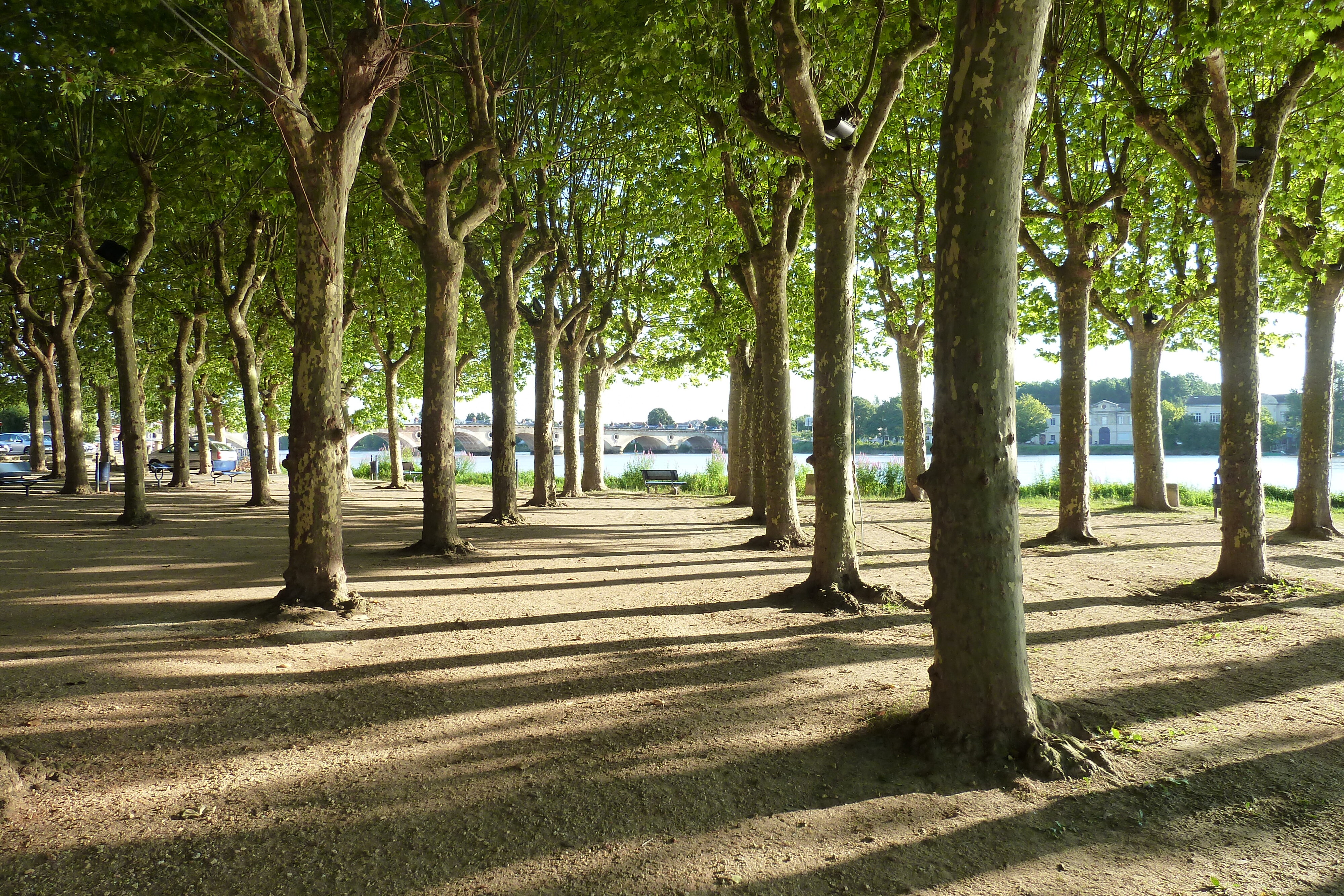 รูปถ่าย ฝรั่งเศส(France) ลีบูร์น(Libourne) 2010-08 15