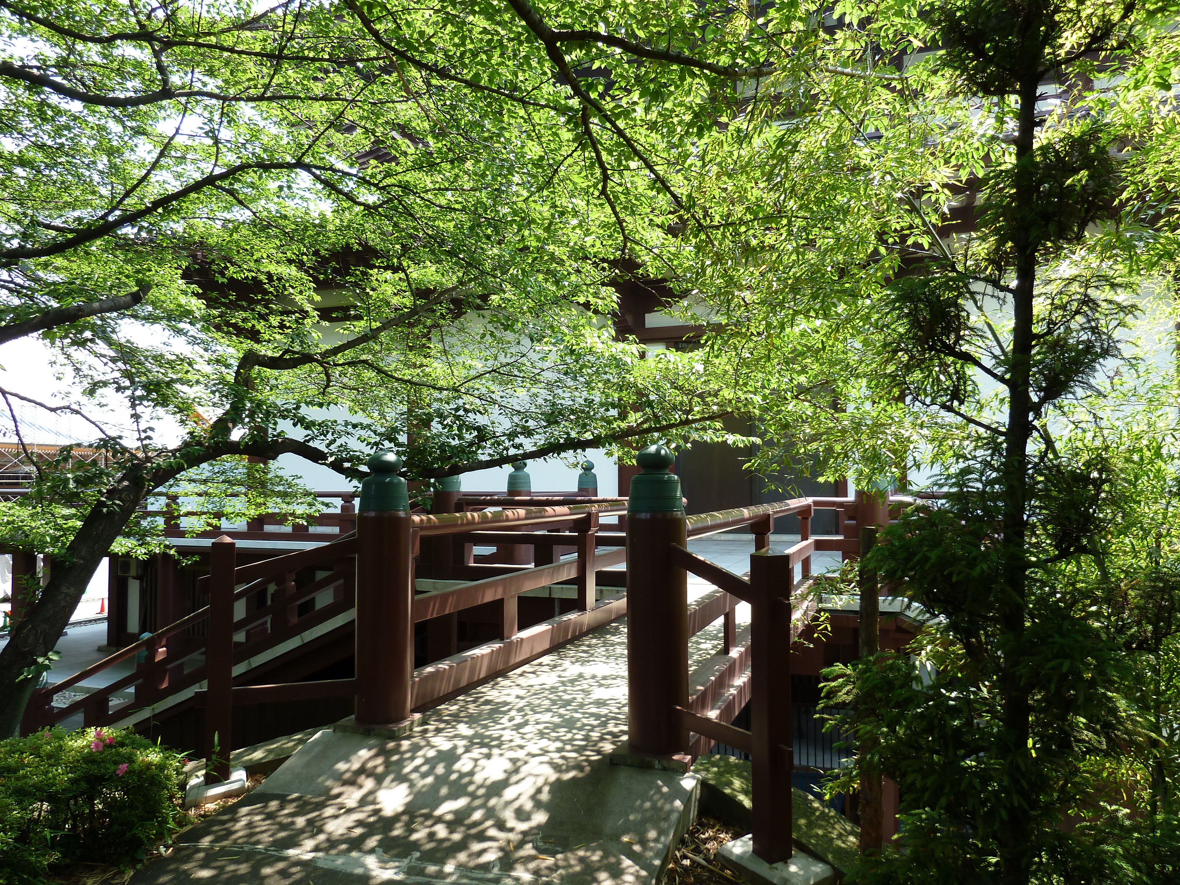 รูปถ่าย ญี่ปุ่น(Japan) โตเกียว(Tokyo) สวนชิบะ(Shiba Park) 2010-06 29