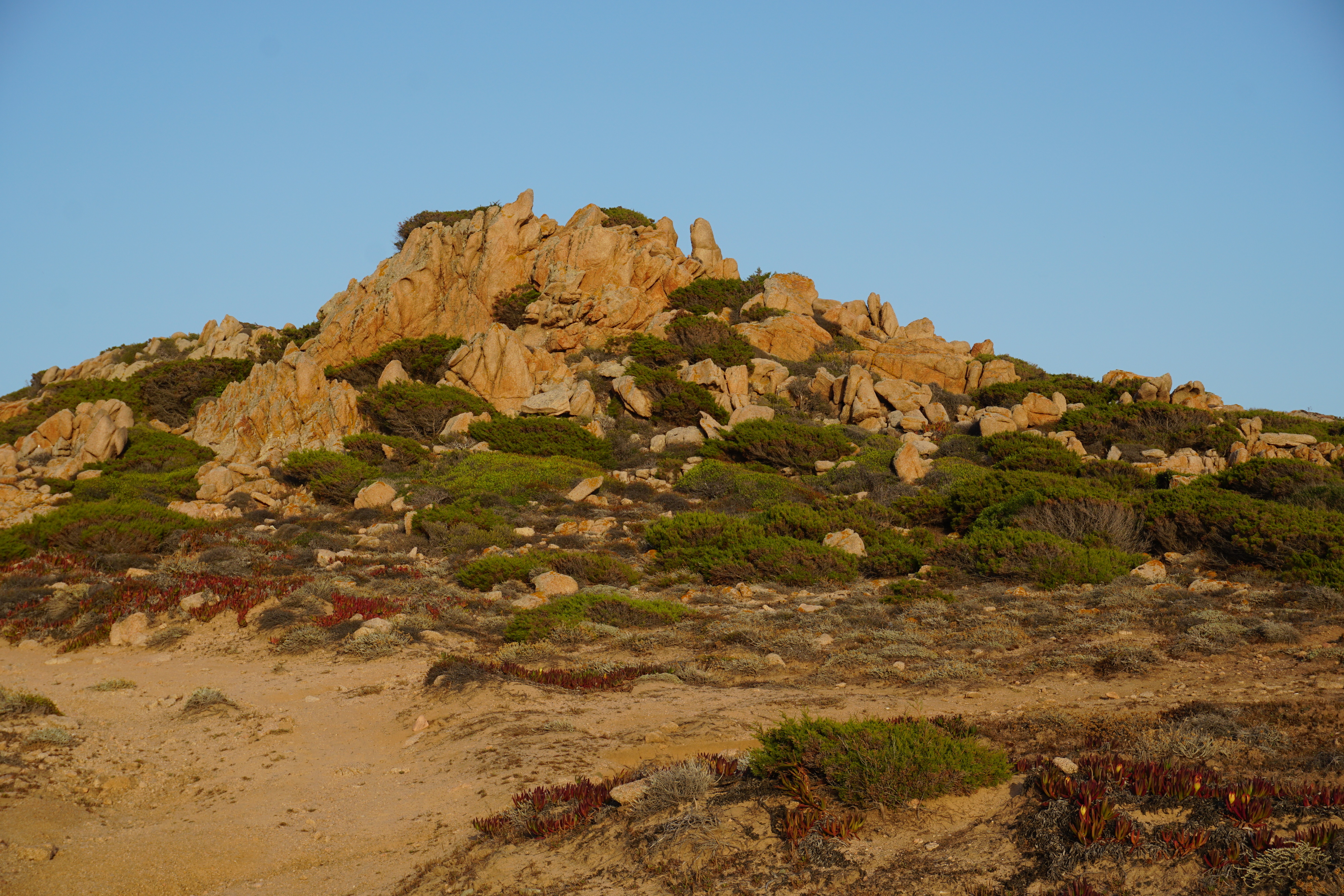 รูปถ่าย ฝรั่งเศส(France) คอร์สิคา(Corsica) หาดตอนนารา(Tonnara Beach) 2017-07 41
