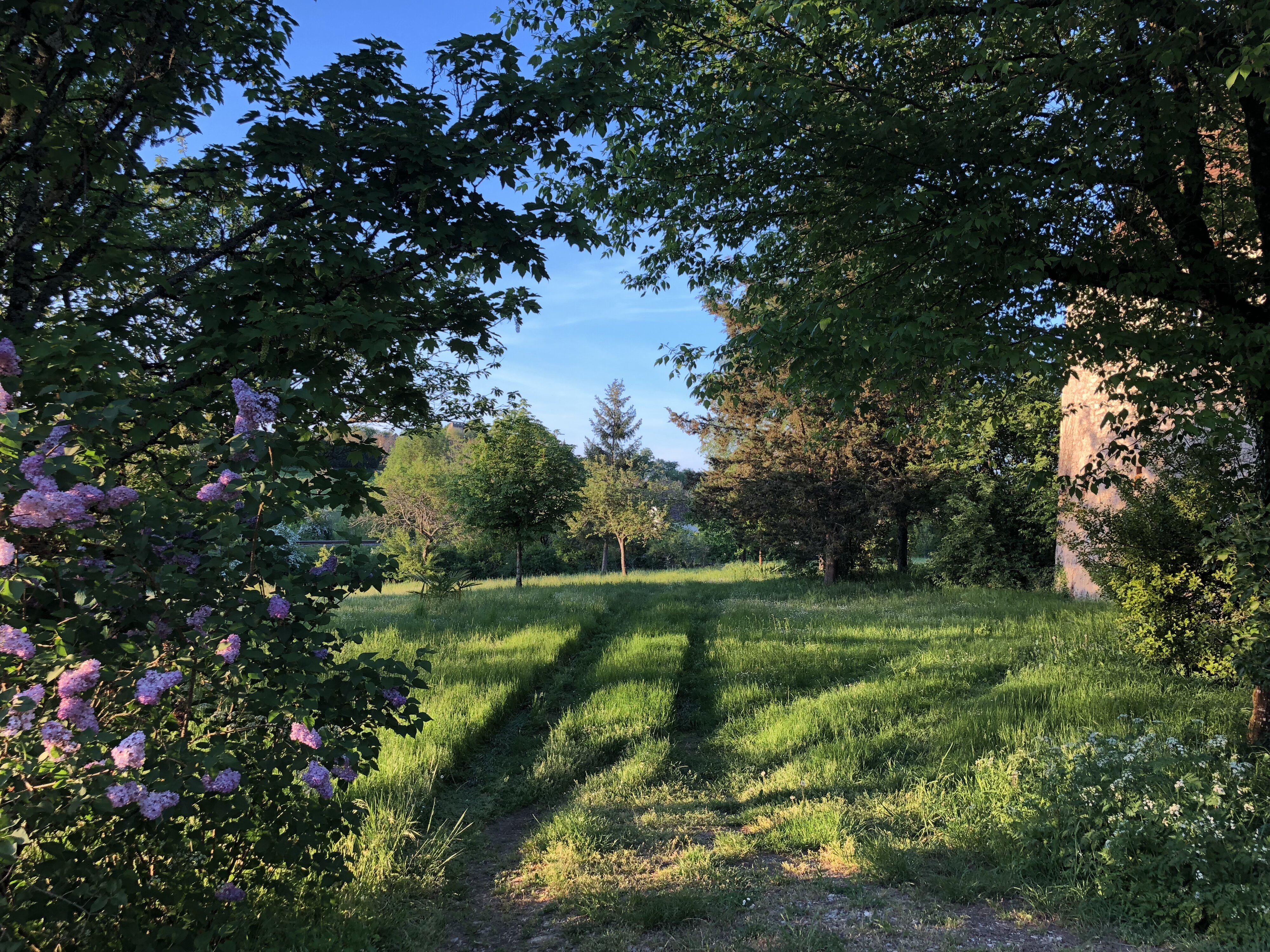รูปถ่าย ฝรั่งเศส(France) ฟลัวรัก(Floirac) 2018-04 48
