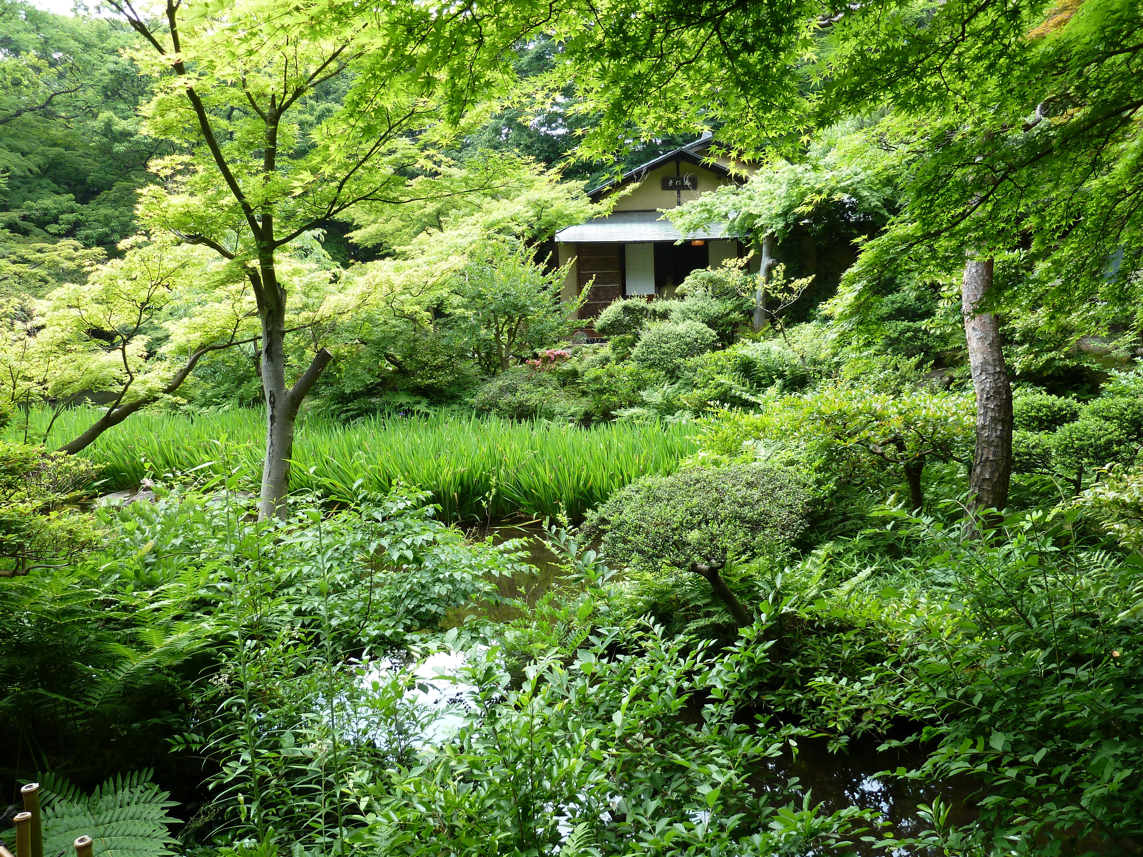รูปถ่าย ญี่ปุ่น(Japan) โตเกียว(Tokyo) 2010-06 24