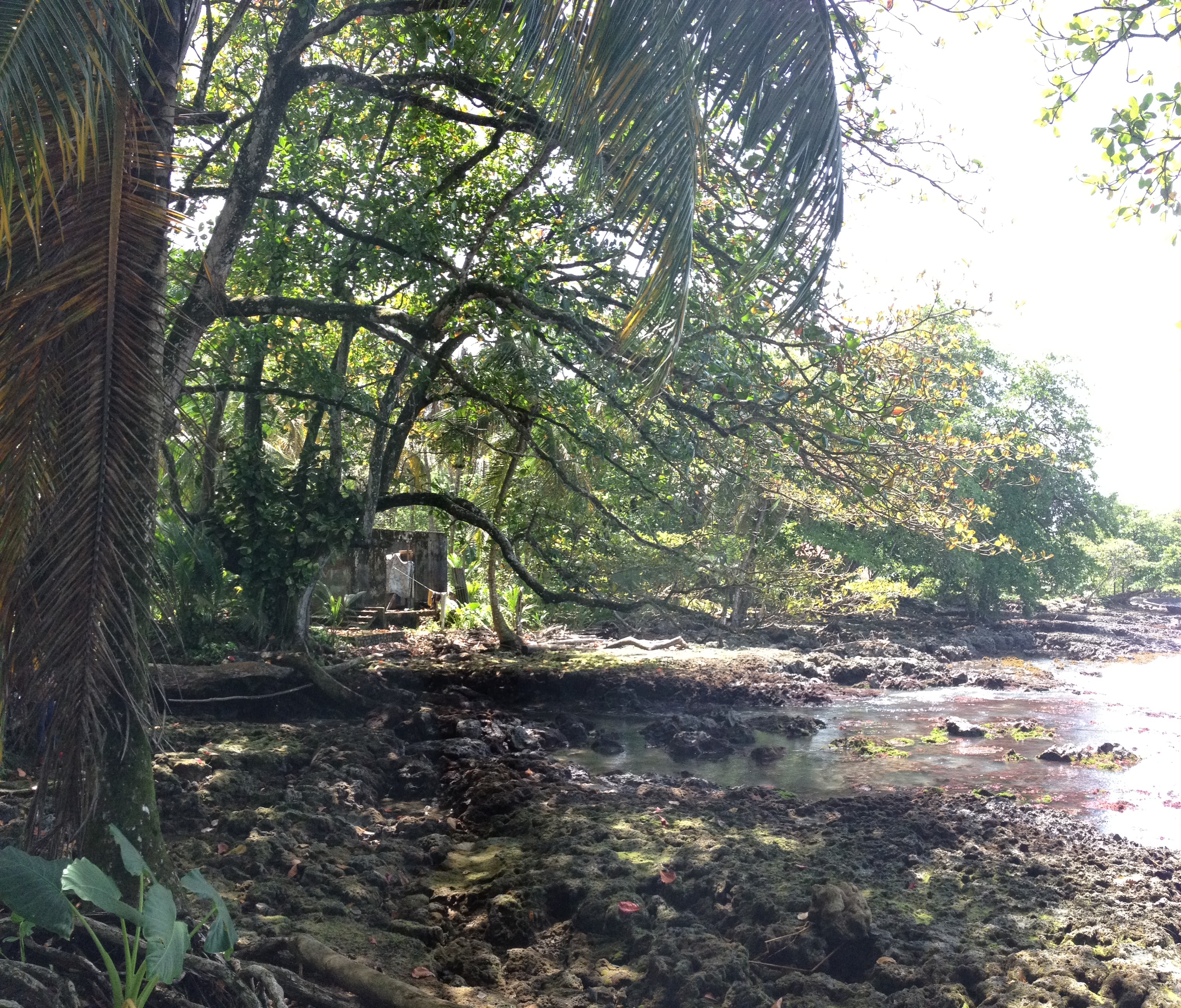 รูปถ่าย คอสตาริกา(Costa Rica) กาอุยตา(Cahuita) 2015-03 19