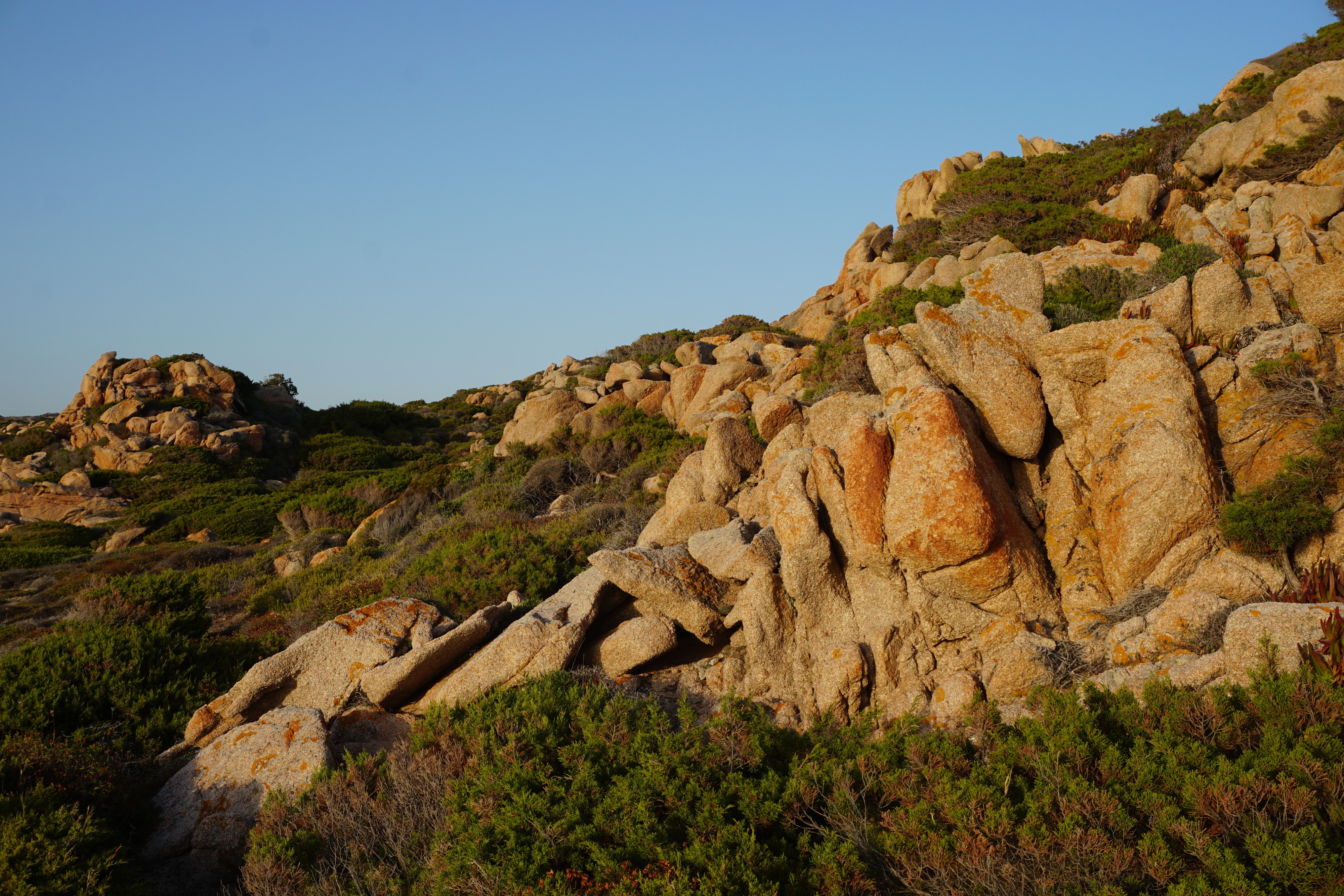 รูปถ่าย ฝรั่งเศส(France) คอร์สิคา(Corsica) หาดตอนนารา(Tonnara Beach) 2017-07 39