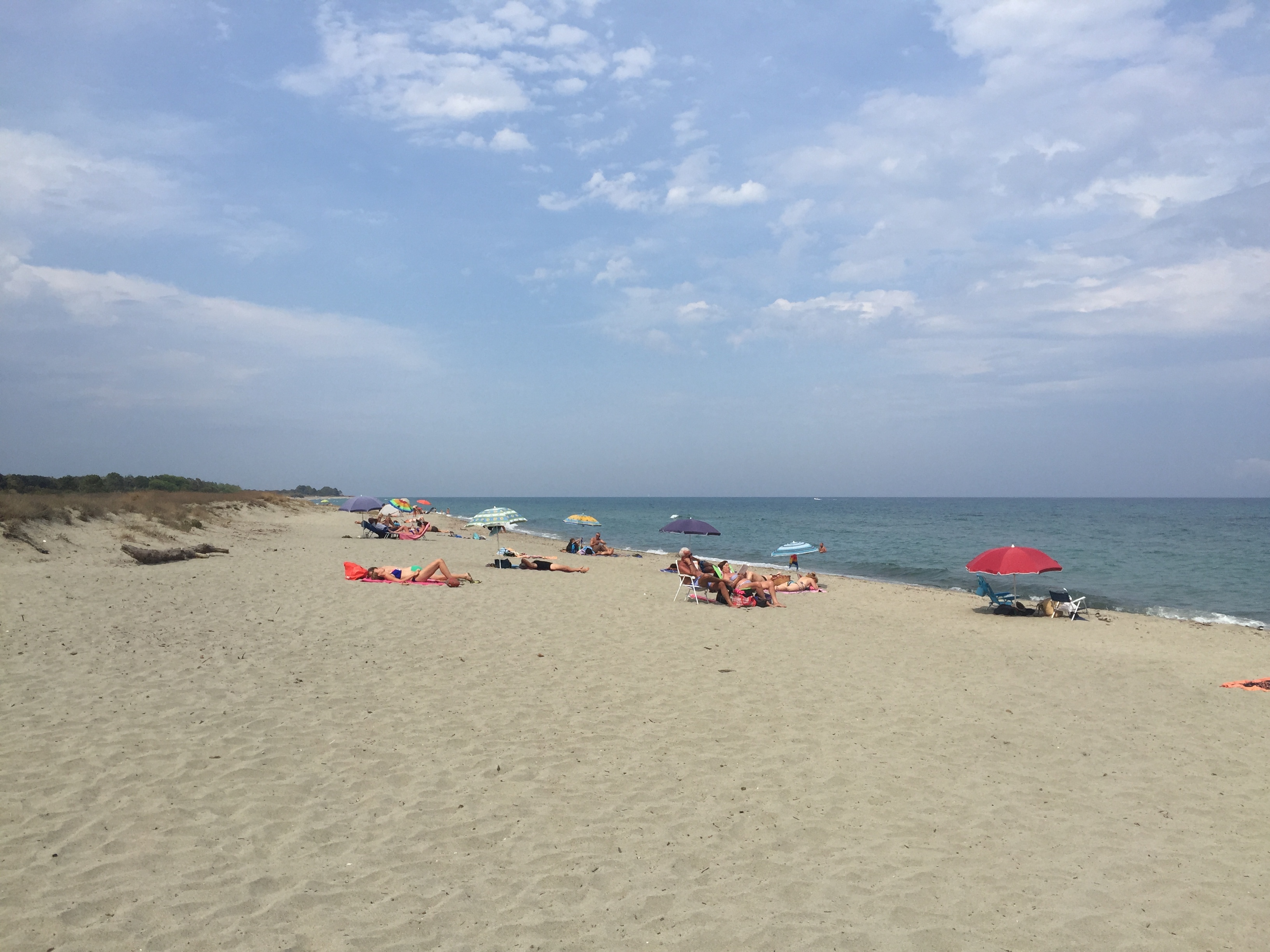 รูปถ่าย ฝรั่งเศส(France) คอร์สิคา(Corsica) ซานจูเลียโน(San Giuliano) 2017-09 2