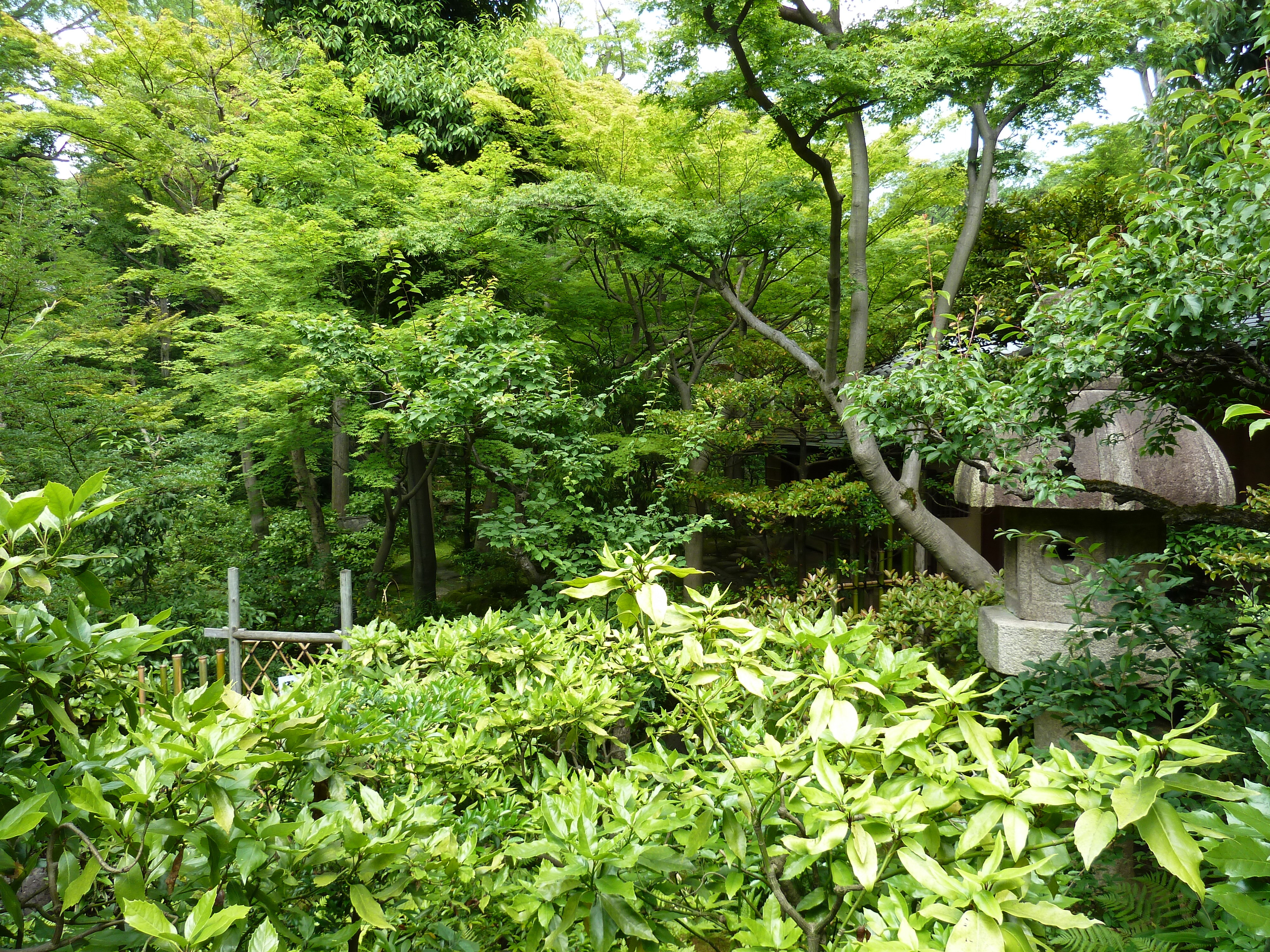 รูปถ่าย ญี่ปุ่น(Japan) โตเกียว(Tokyo) พิพิธภัณฑ์เนซุ(Nezu Museum) 2010-06 40