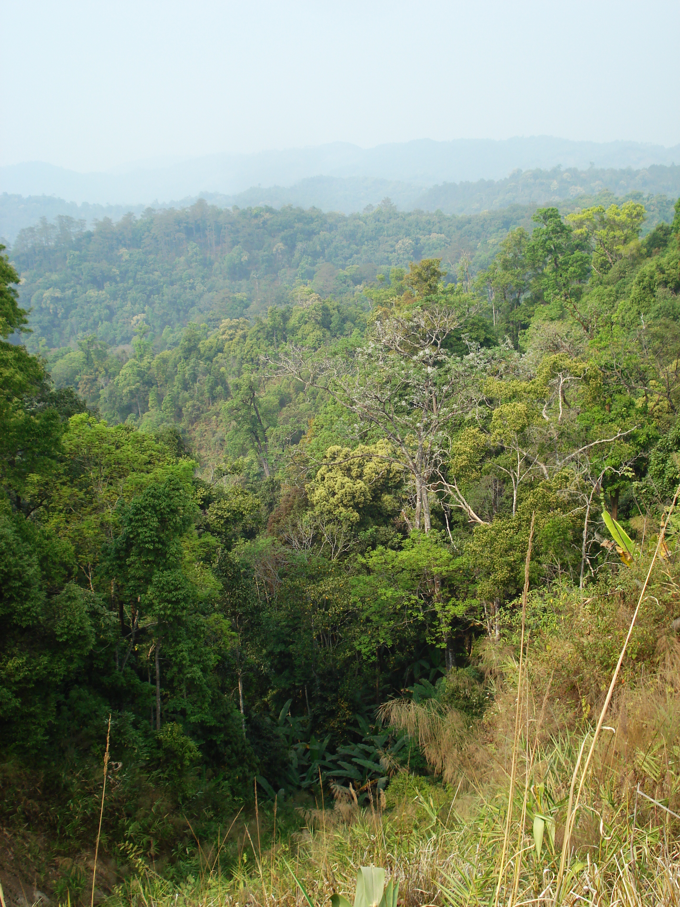 รูปถ่าย ไทย(Thailand) ถนนจากเชียงใหม่ไปปาย(Chiang Mai to Pai road) 2007-02 91