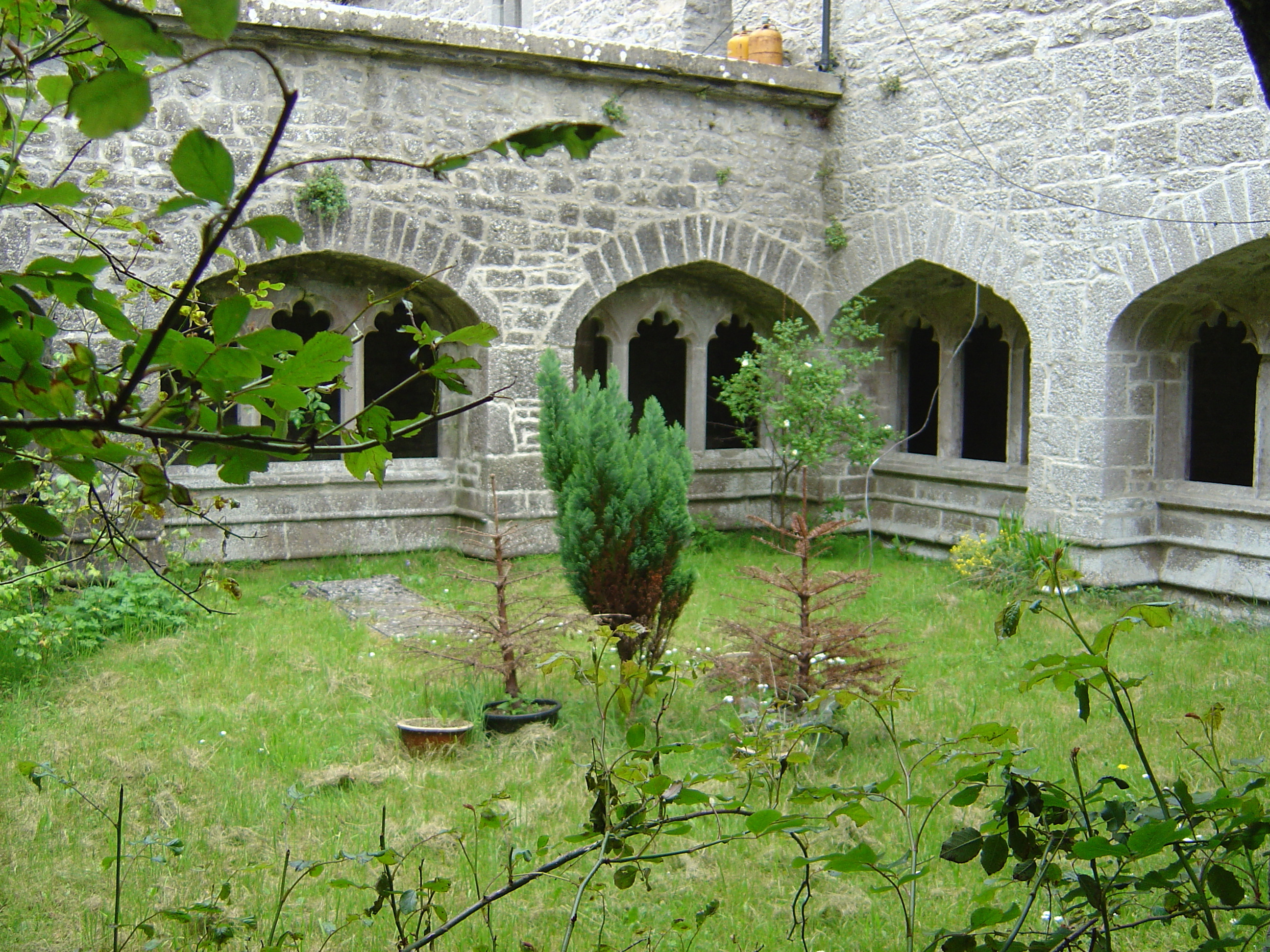 รูปถ่าย ไอร์แลนด์(Ireland) เคาน์ตีลิเมอริก(Limerick County) อาแดร์(Adare) 2004-05 32
