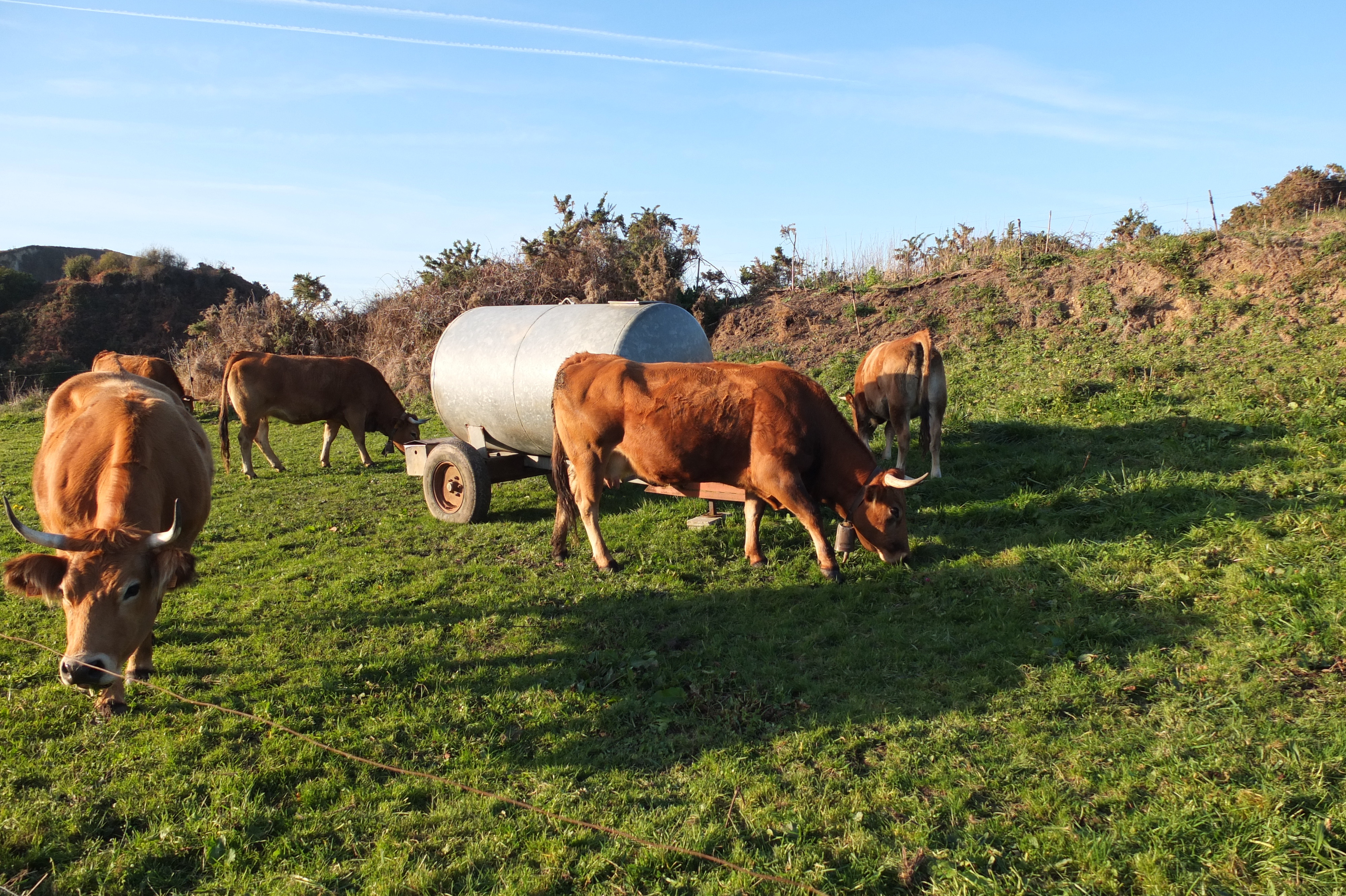 รูปถ่าย สเปน(Spain) กันตาเบรีย(Cantabria) 2013-01 0